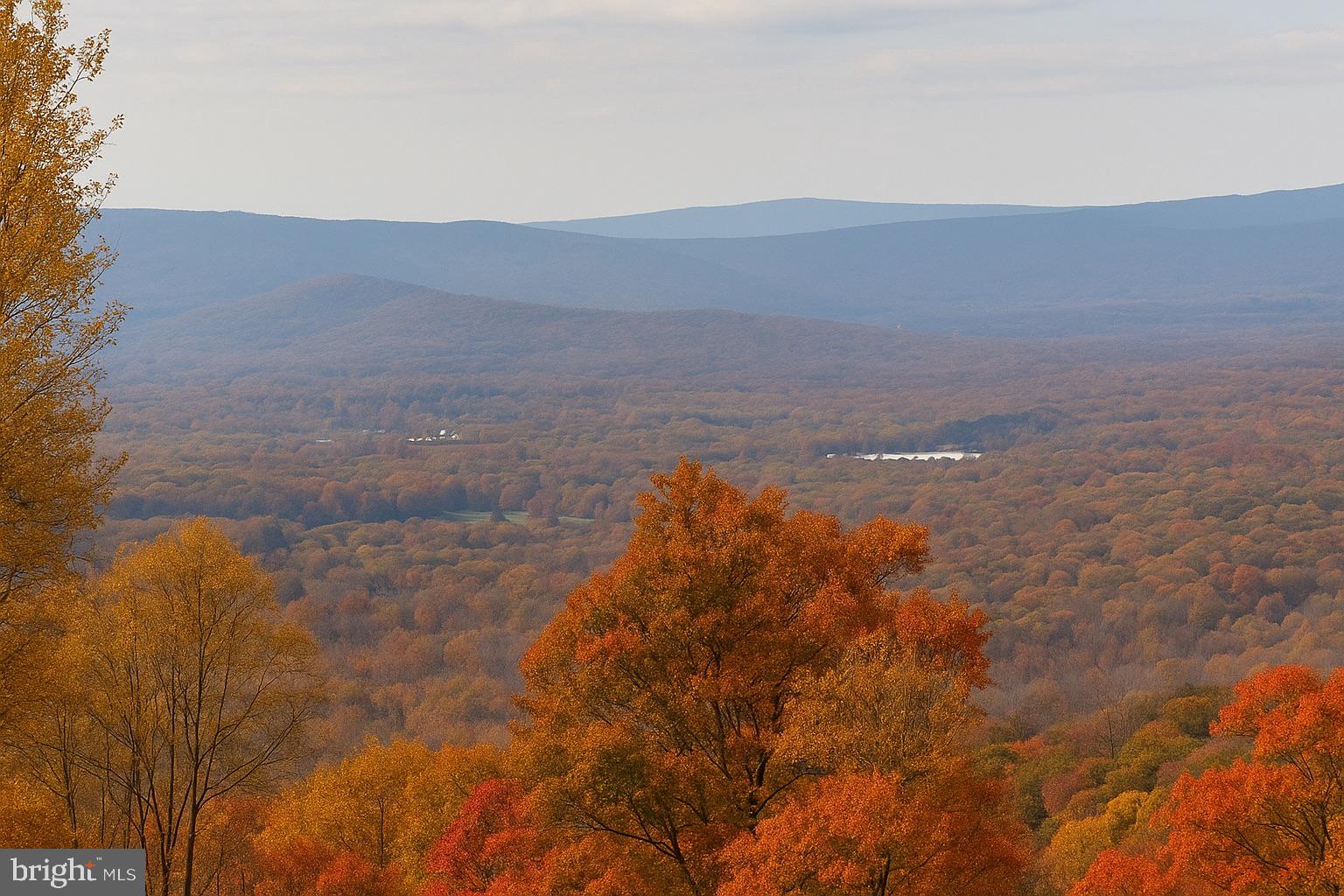SHENANDOAH FARMS - Residential