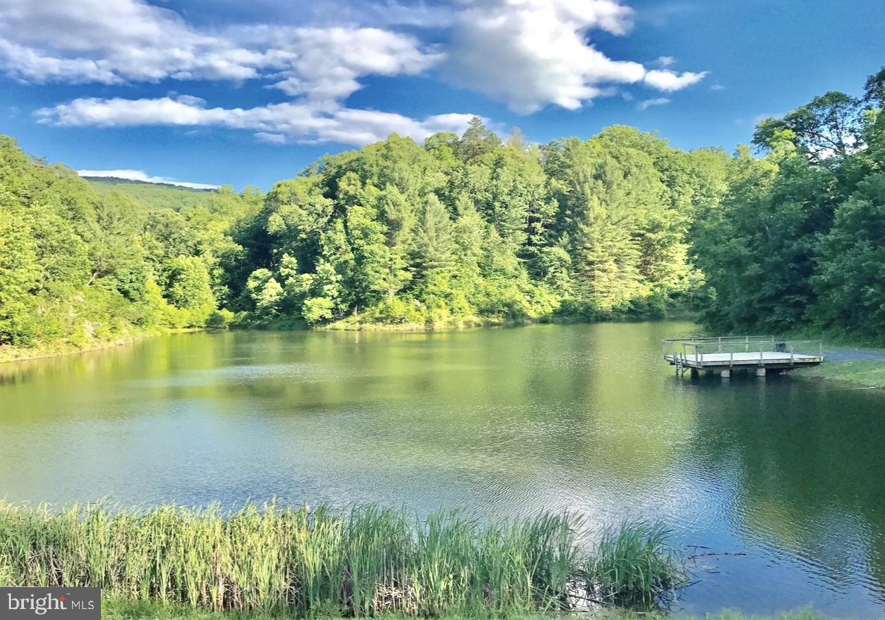 SHENANDOAH FARMS - Residential