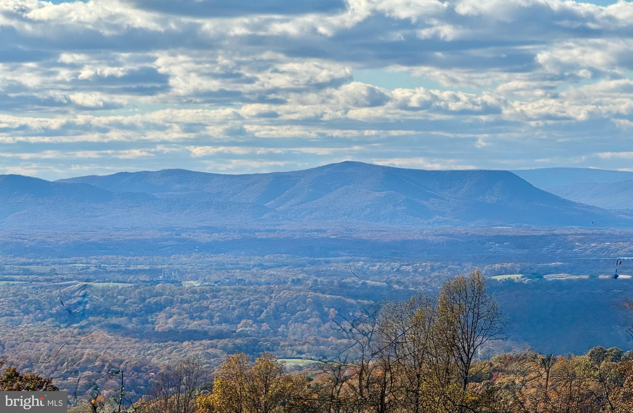 SHENANDOAH FARMS - Residential