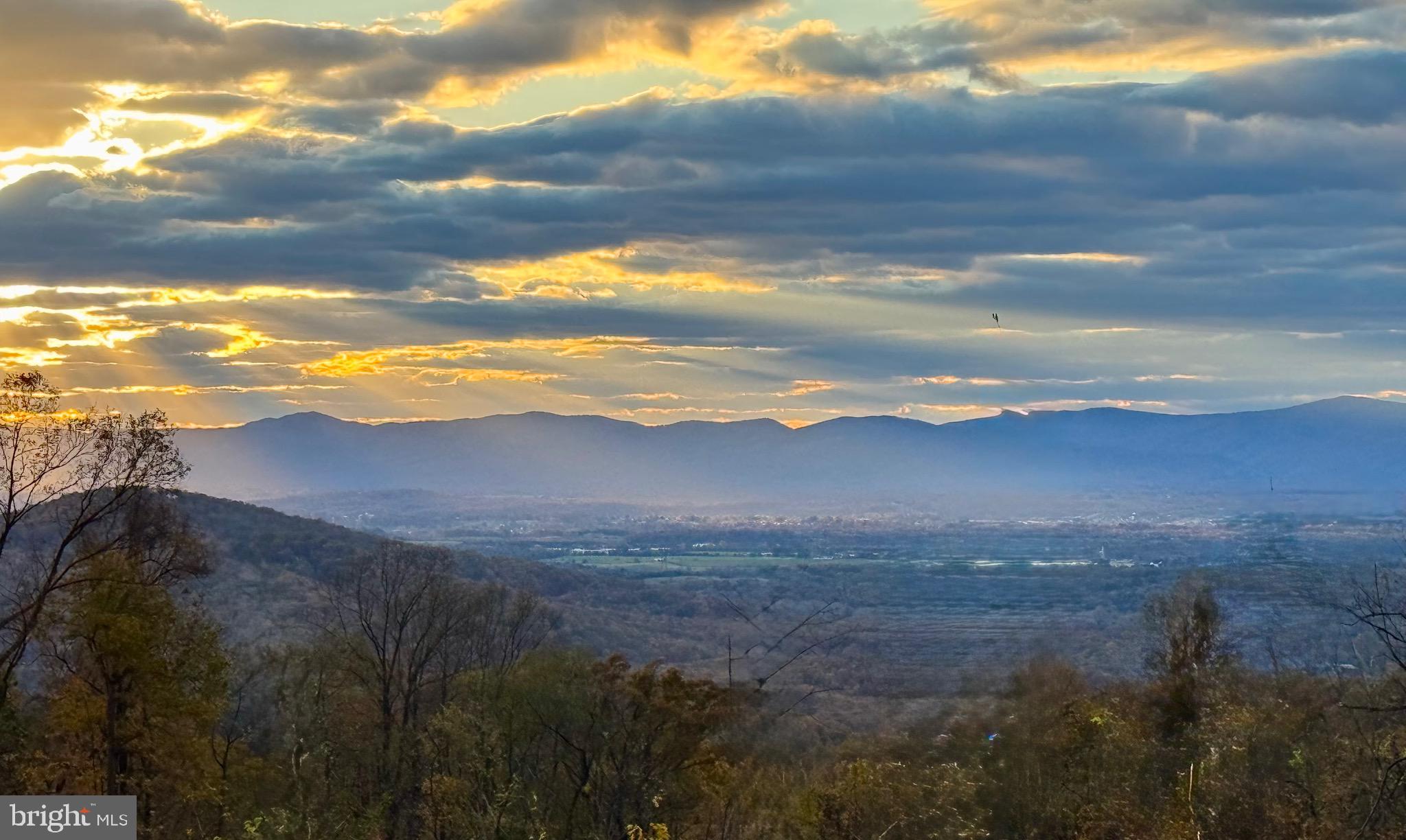SHENANDOAH FARMS - Residential