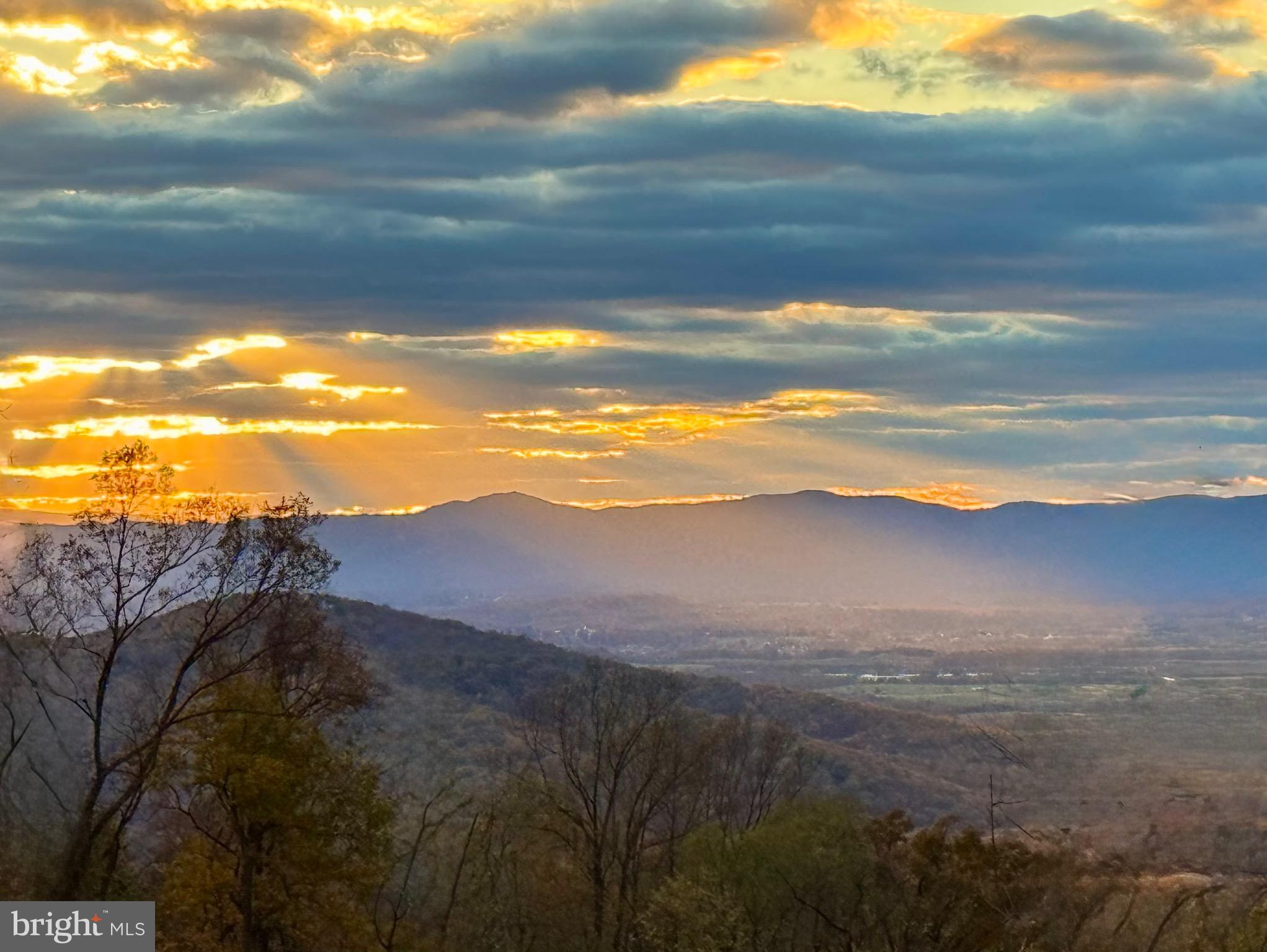 SHENANDOAH FARMS - Residential