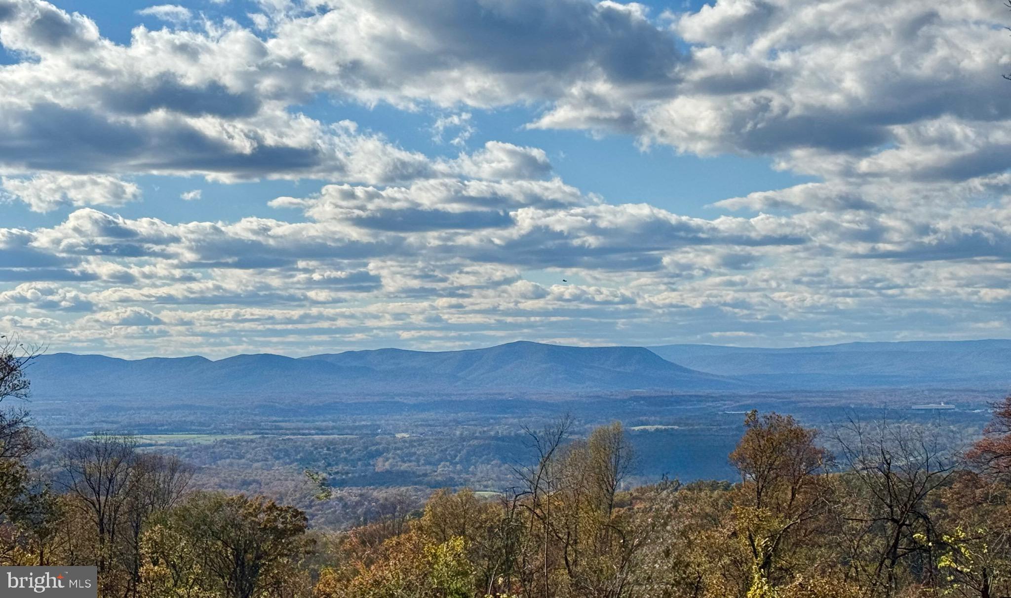 SHENANDOAH FARMS - Residential