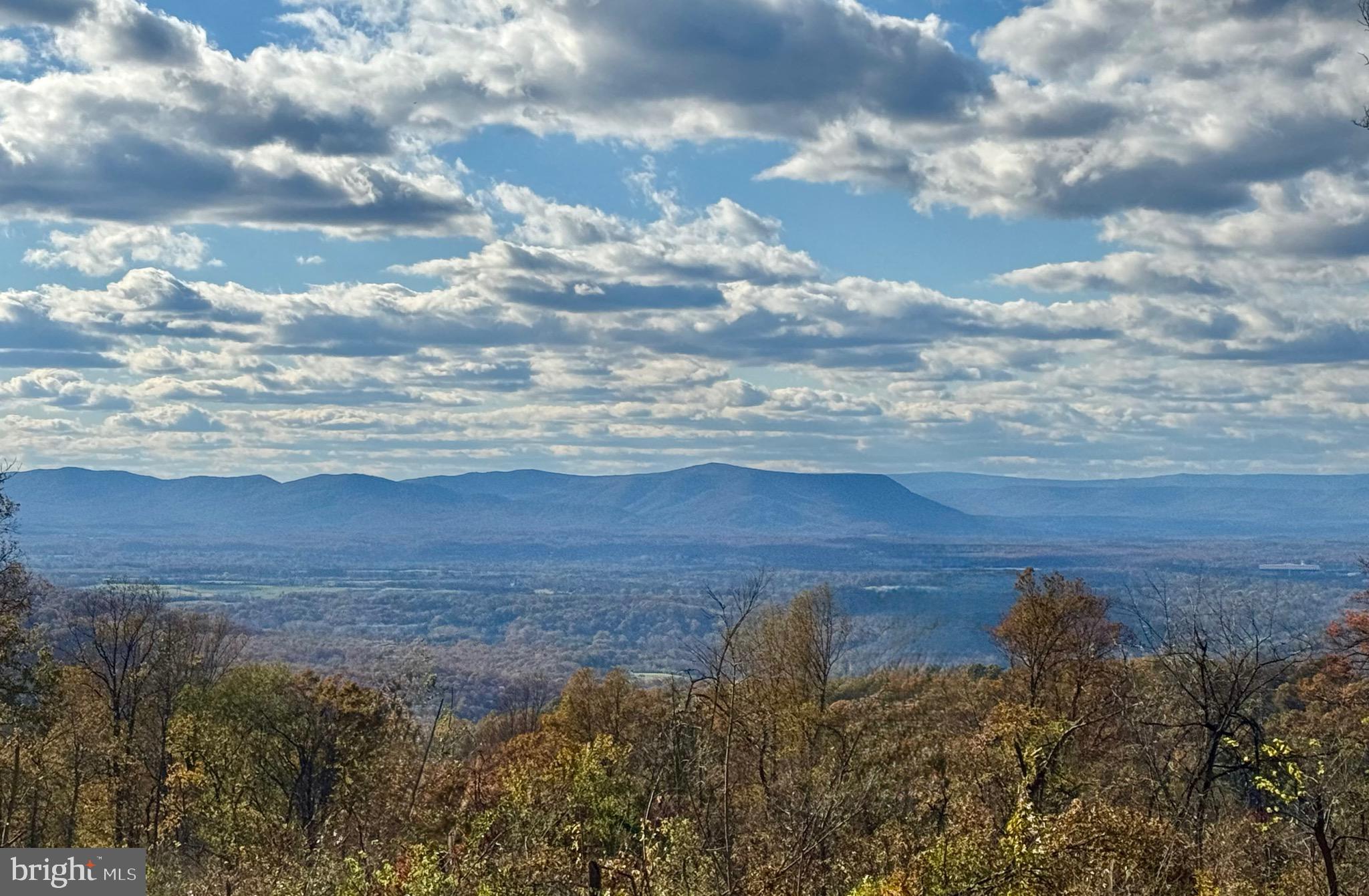 SHENANDOAH FARMS - Residential