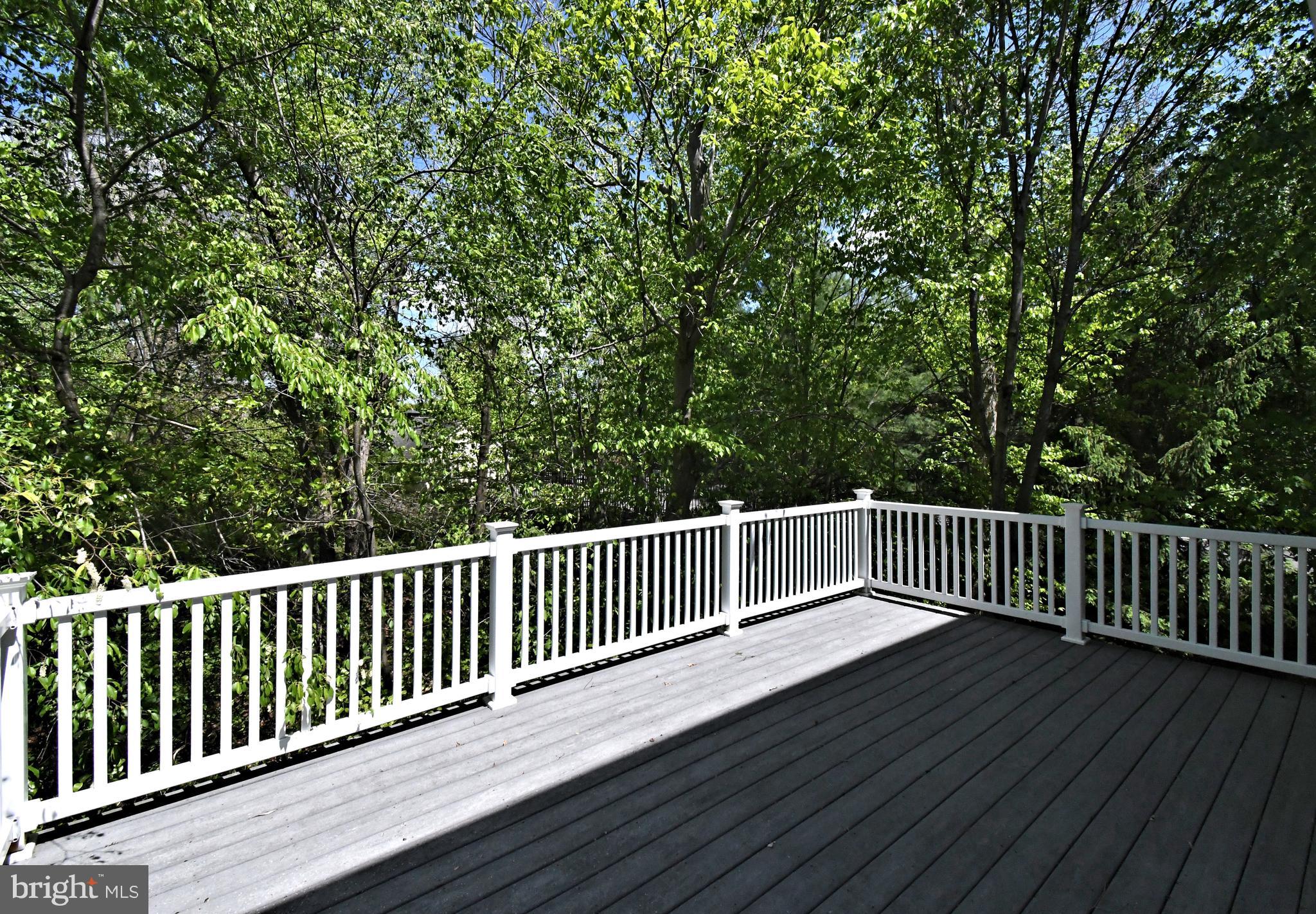 WILLISTOWN HUNT - Residential