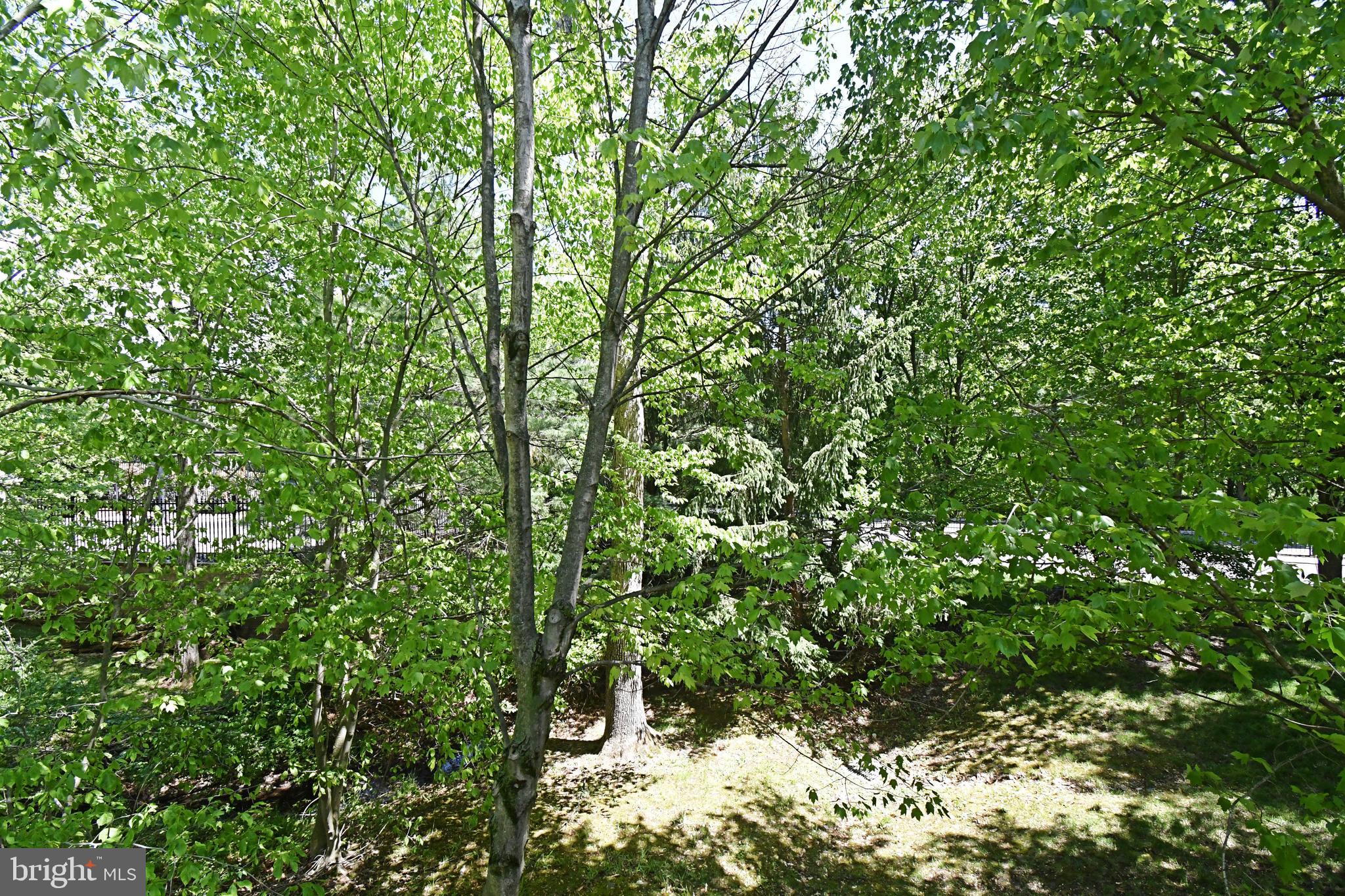 WILLISTOWN HUNT - Residential