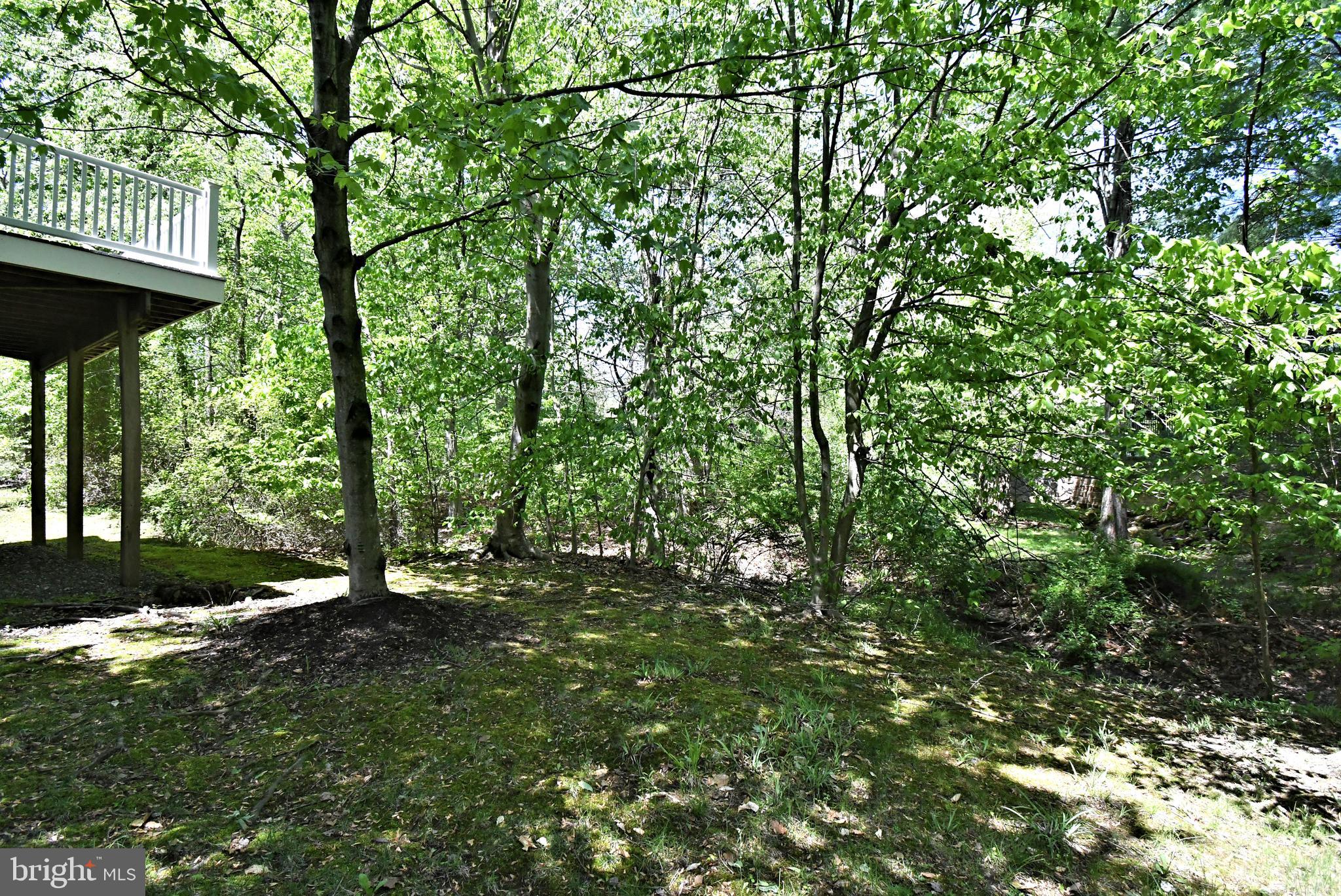 WILLISTOWN HUNT - Residential