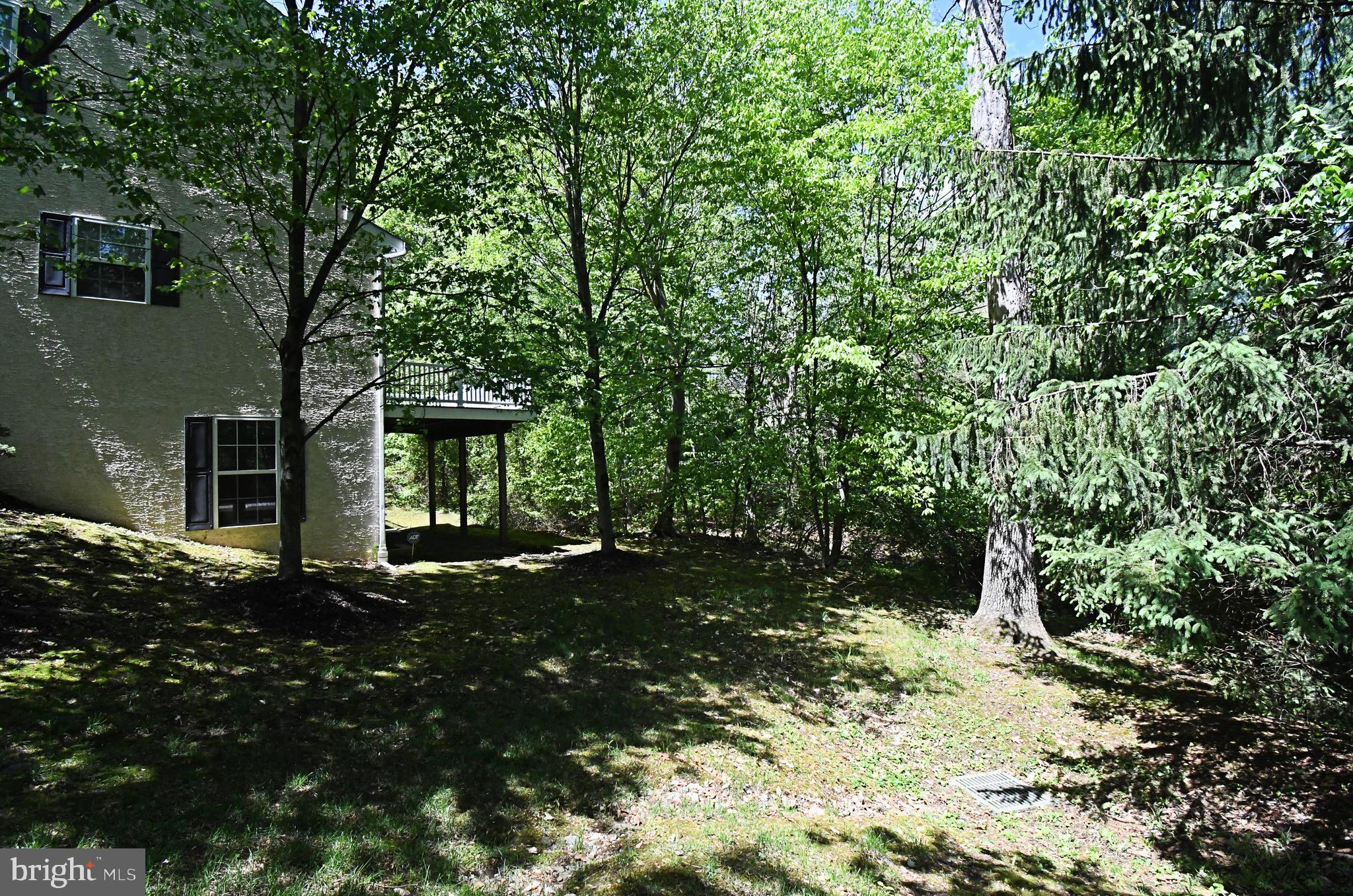 WILLISTOWN HUNT - Residential