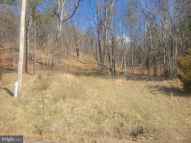 RUSHING RIVER FARMS - Land