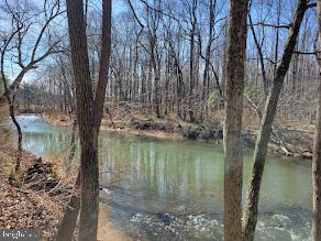 RUSHING RIVER FARMS - Land