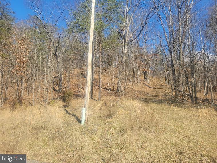 RUSHING RIVER FARMS - Land