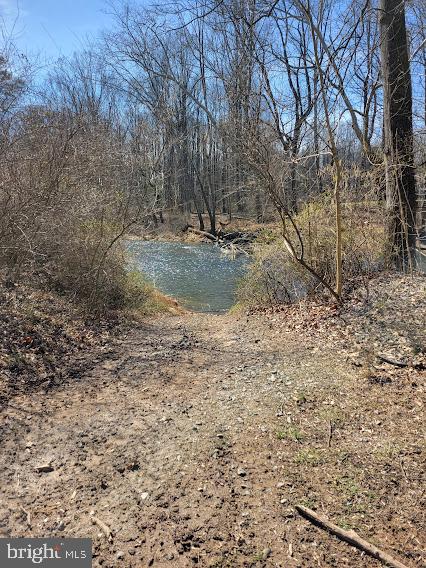 RUSHING RIVER FARMS - Land