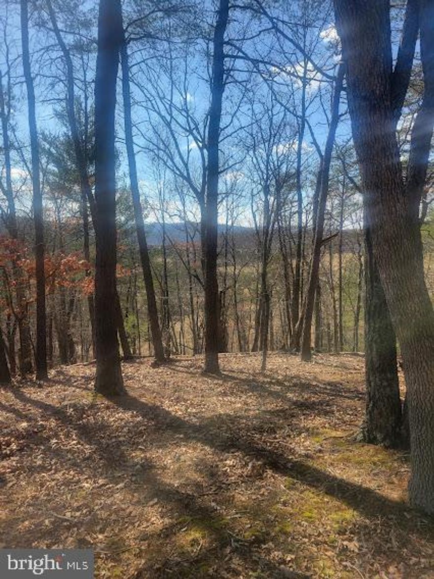 Nice 5 acre lot, Build your vacation or forever home. Potential mountain and farmland views. there are
several building site and a cleared spot for your camper. Bring your ATV, kayaks and canoes and enjoy the
outdoors. Fish in the North River at community access spot. Hunting close by. ATV trail though property from
Rushing River Road to Harper Drive.