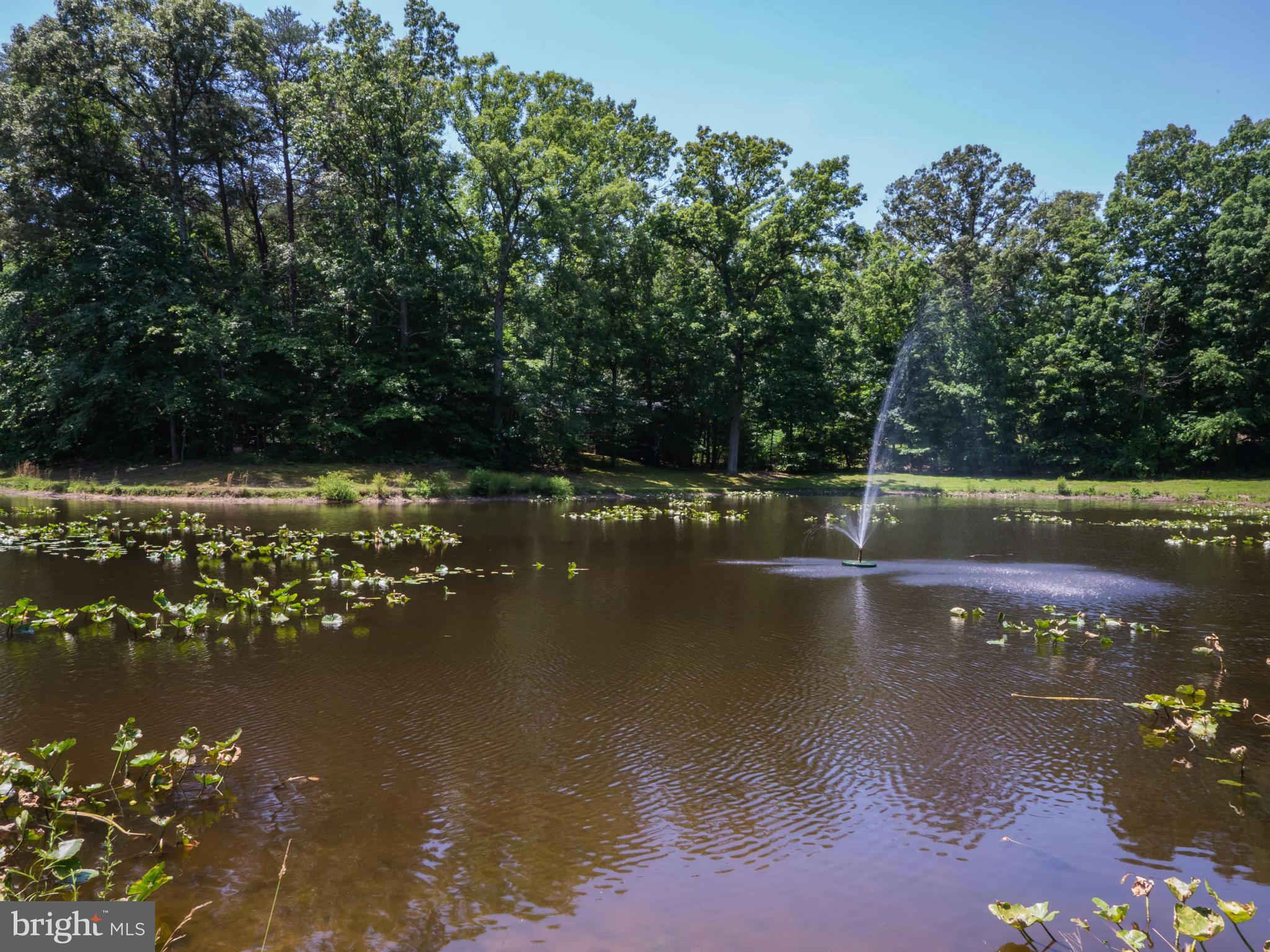 PRIMROSE PARK - Residential