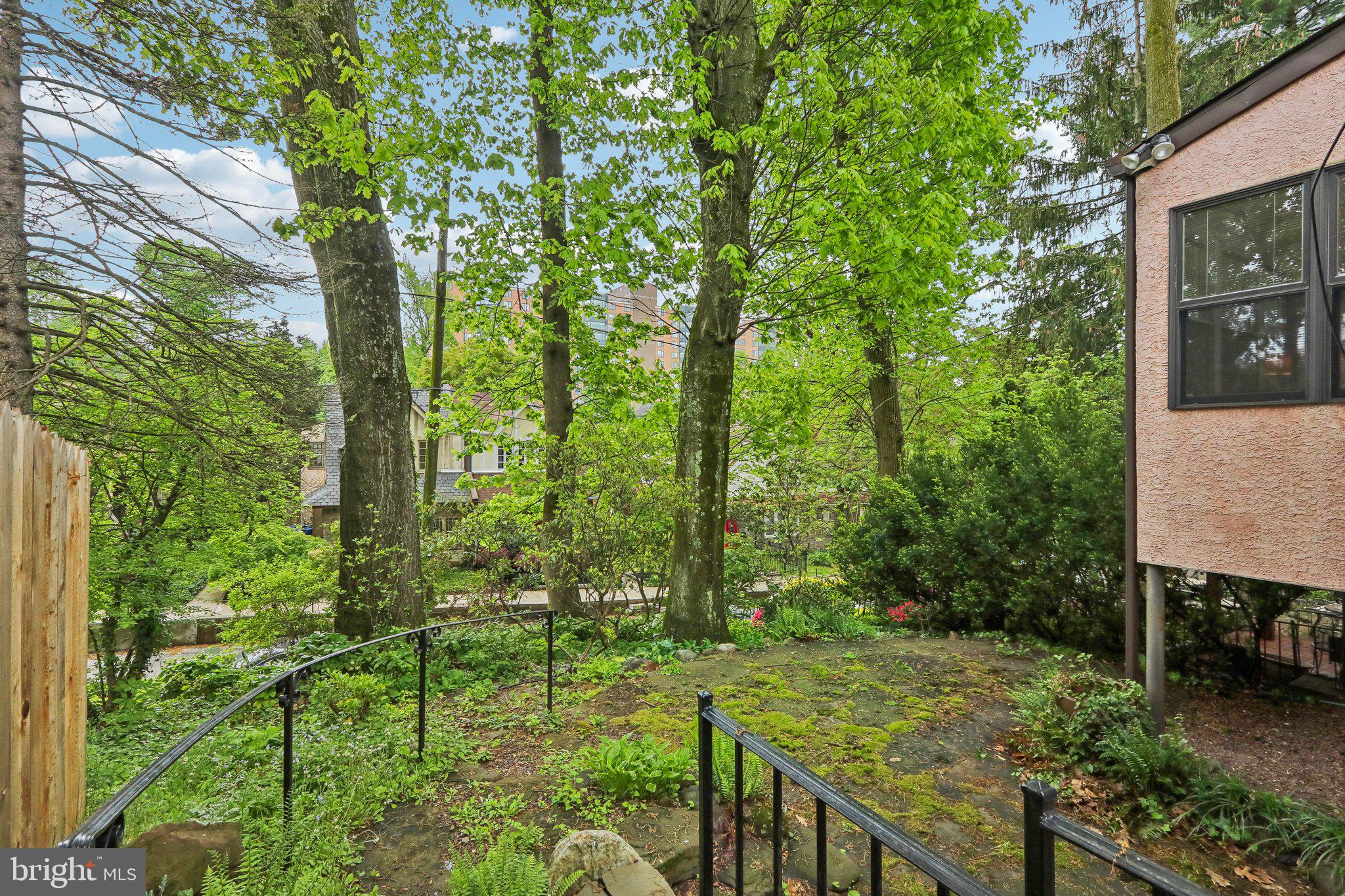 CHESTNUT HILL - Residential