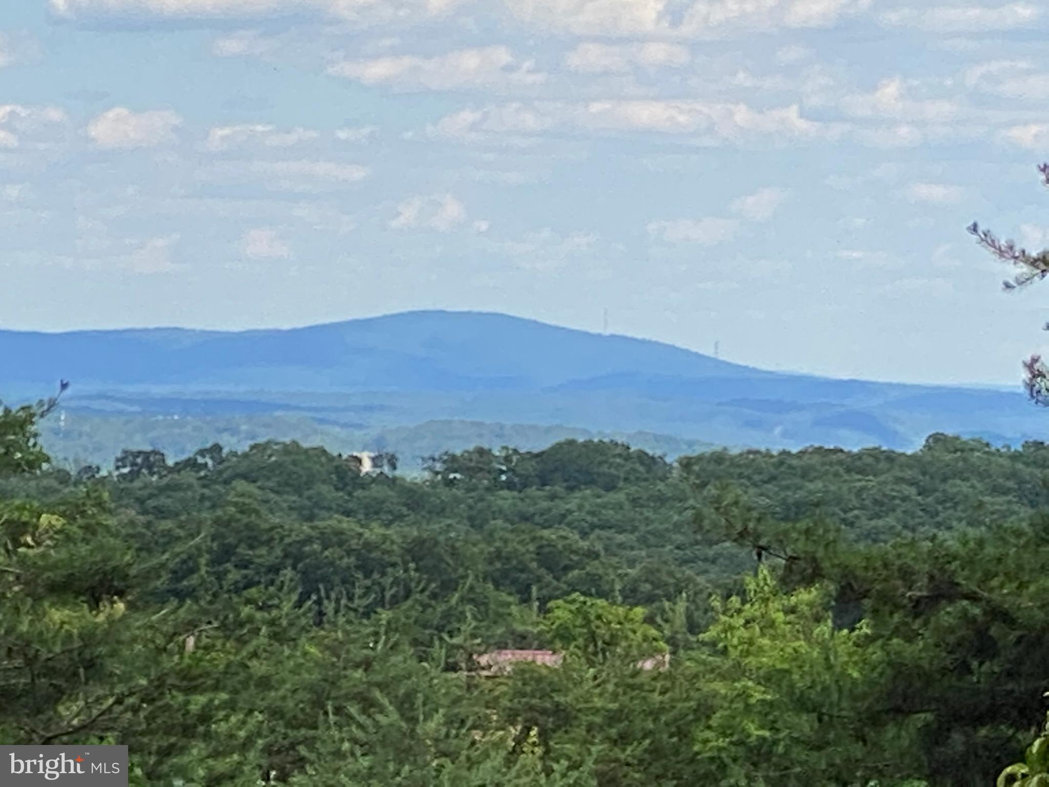 BETHEL TOWNSHIP - Residential