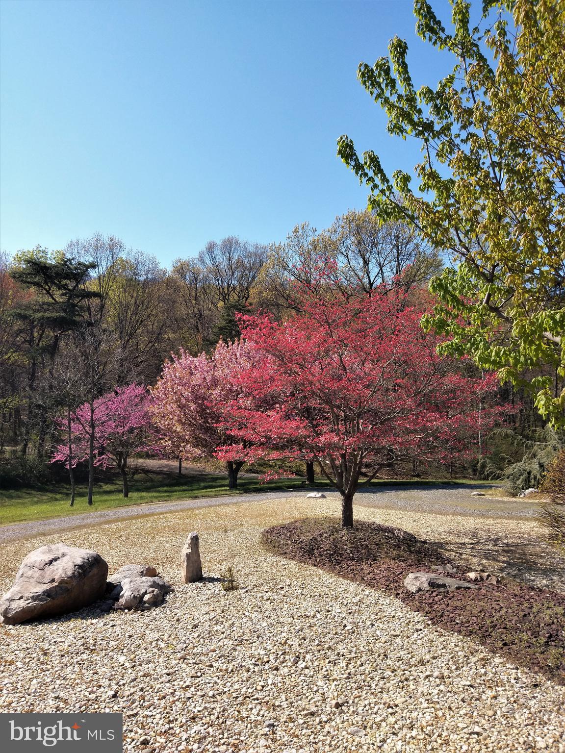 BETHEL TOWNSHIP - Residential
