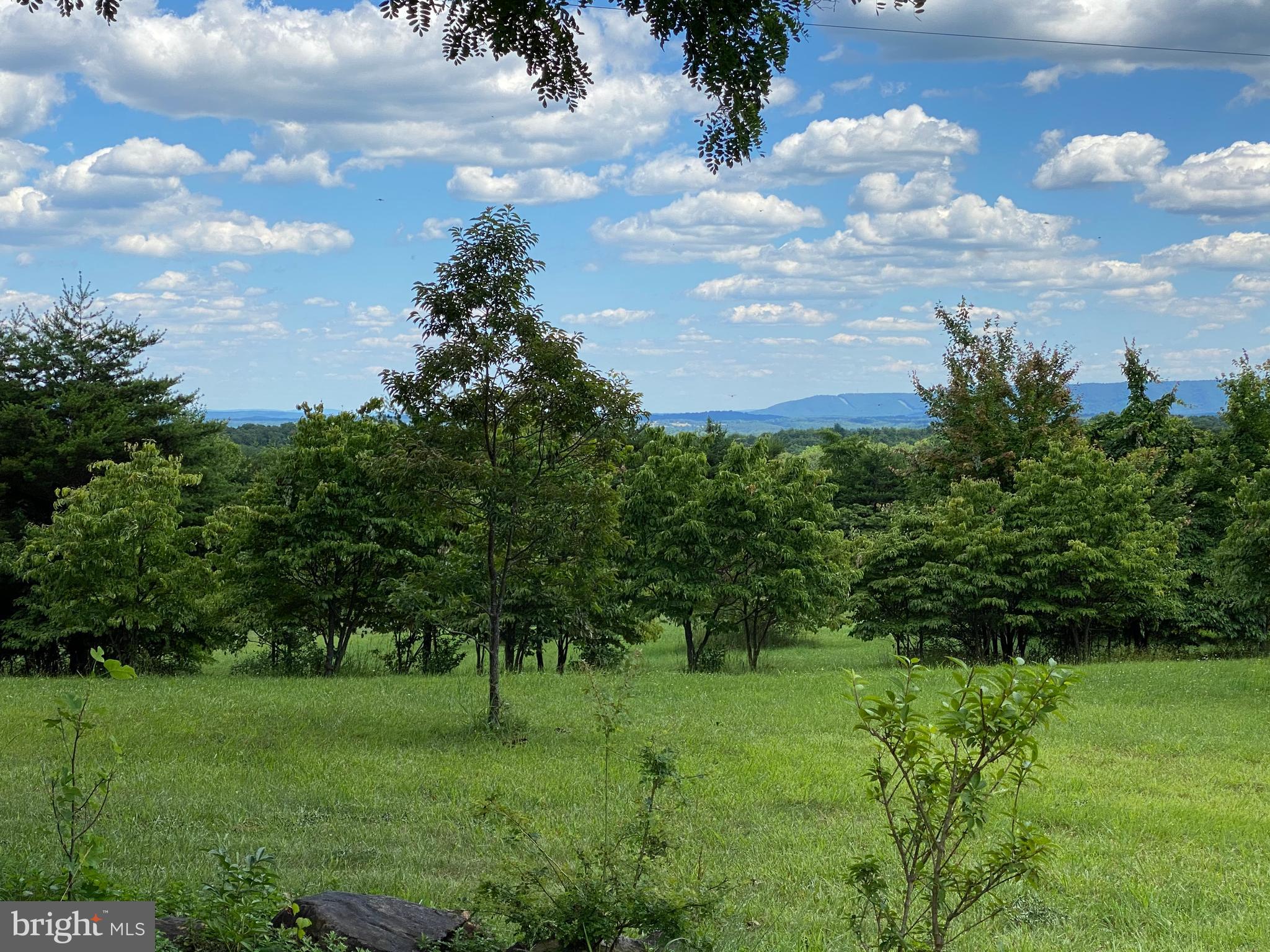 BETHEL TOWNSHIP - Residential