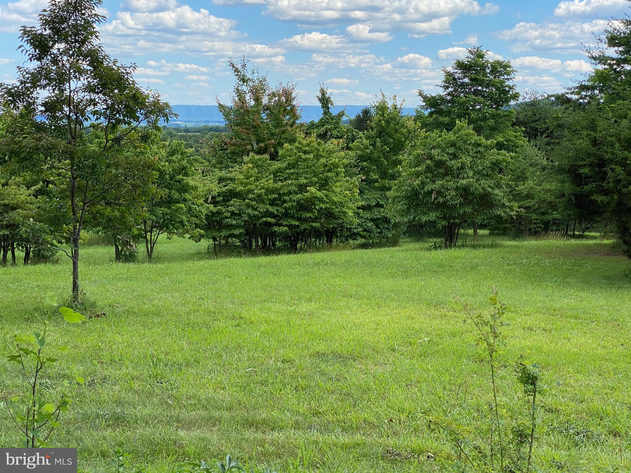 BETHEL TOWNSHIP - Residential