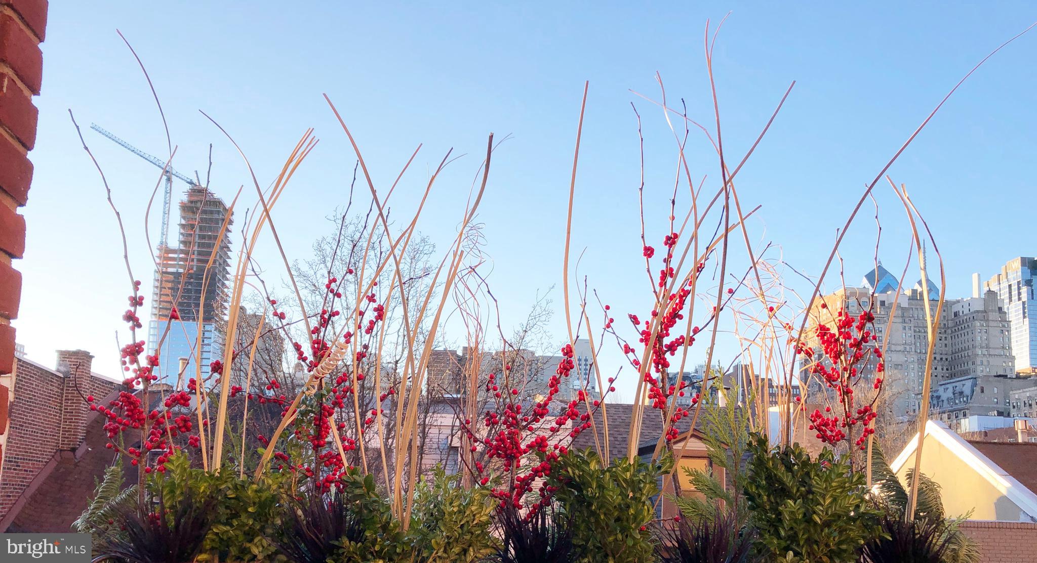 WASHINGTON SQ WEST - Residential