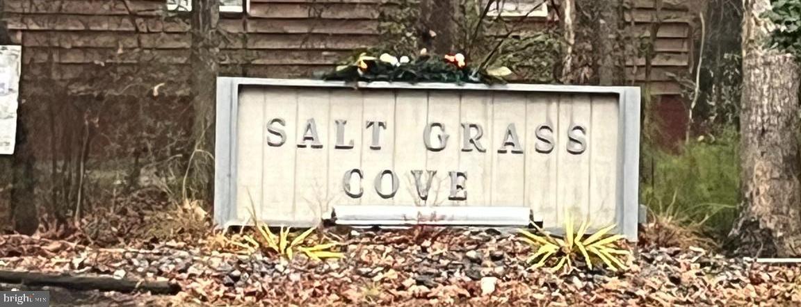 OCEAN PINES - SALT GRASS COVE - Residential