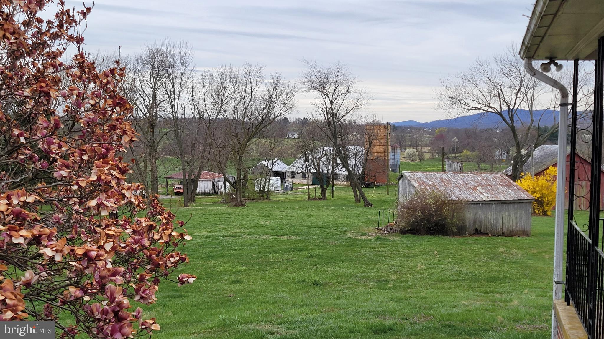 NONE AVAILABLE - Farm