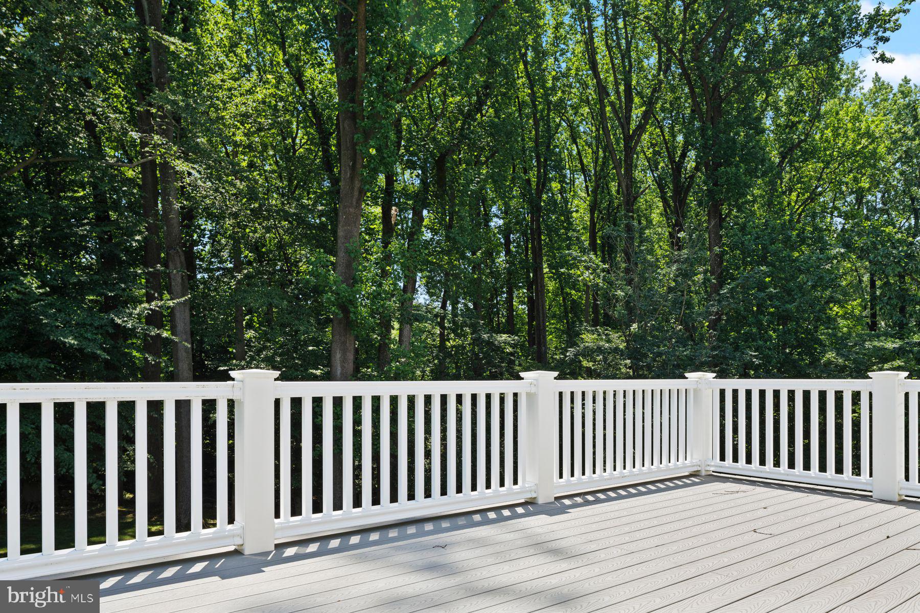 RADNOR HUNT - Residential