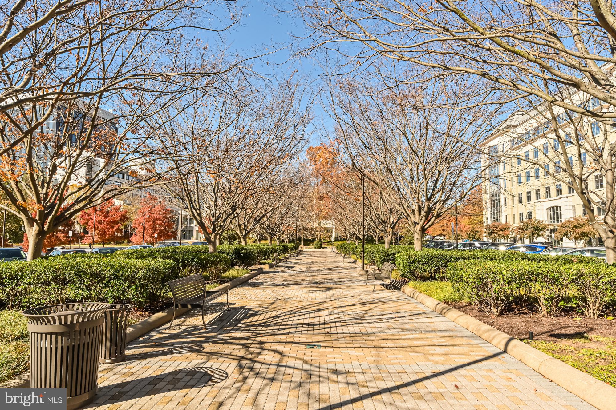 MERCER - Residential Lease