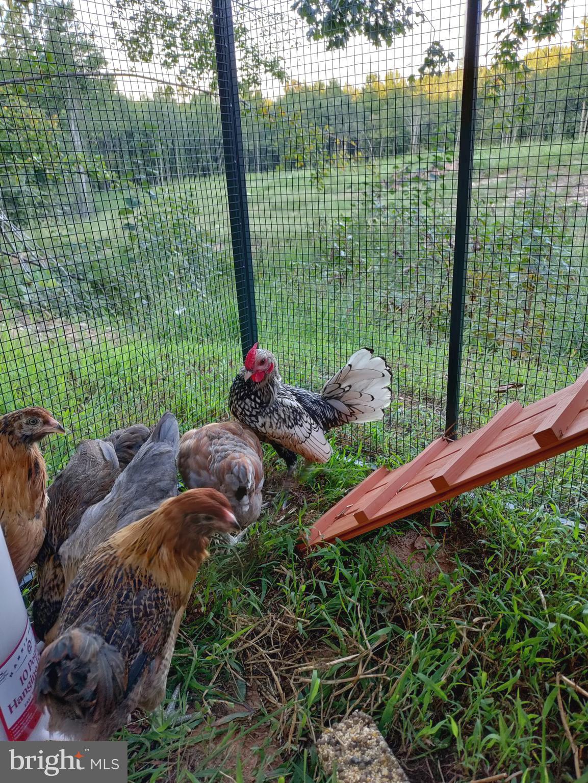 Lot 9 MOUNTAIN CREEK LAKE SUBDIVISION