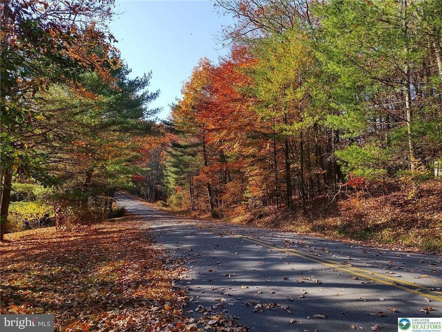 Welcome to the Poconos! Come build your mountain getaway home on this 0.39 acre corner parcel with flat topography in the subdivision of Leisure Lands. Low HOA fees and close to Lake Monroe with public boat ramps and fishing. Delaware State Forest for ATVs, horseback riding, skiing, hiking and all that camping fun as well!