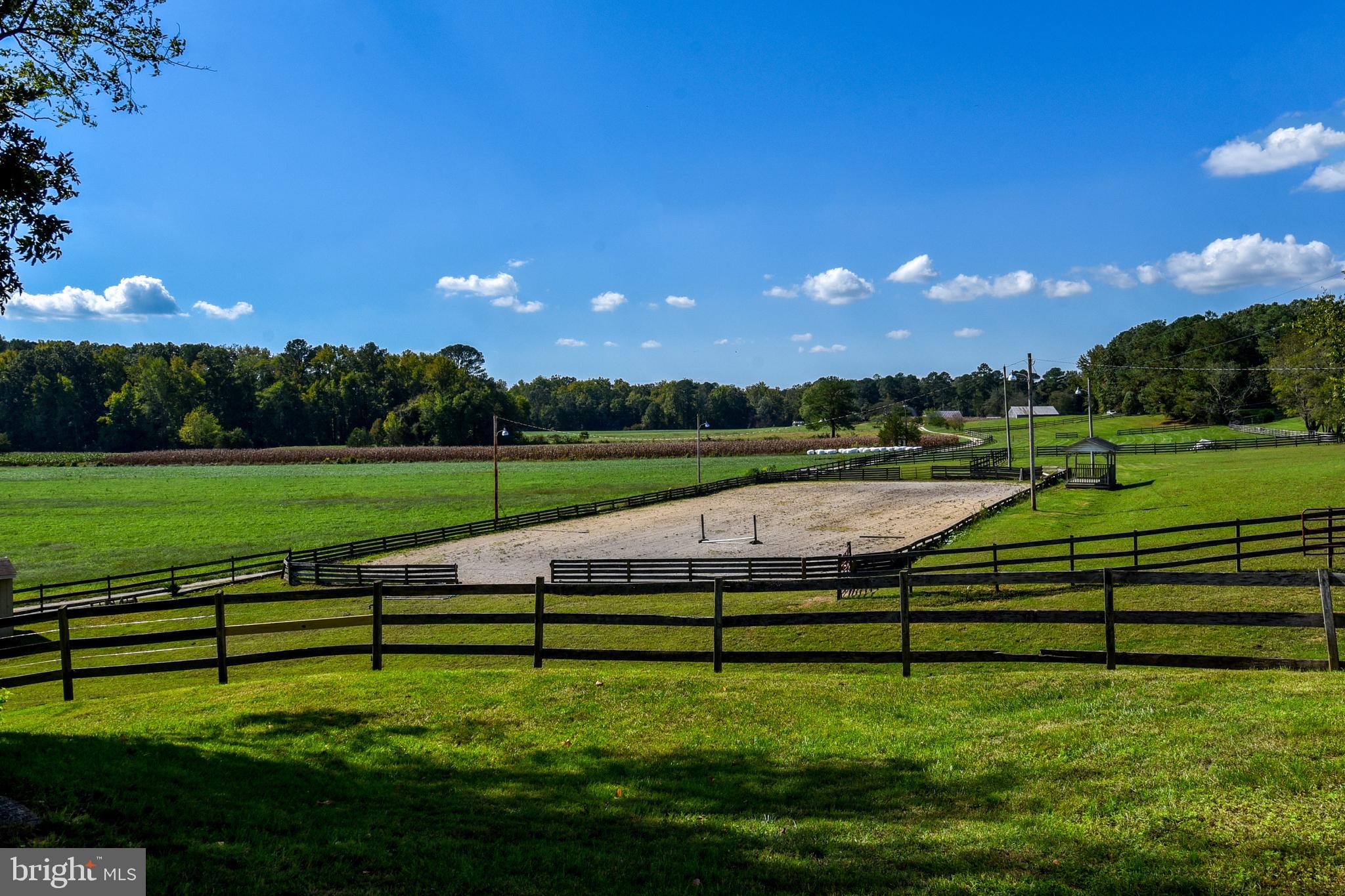 NONE AVAILABLE - Farm