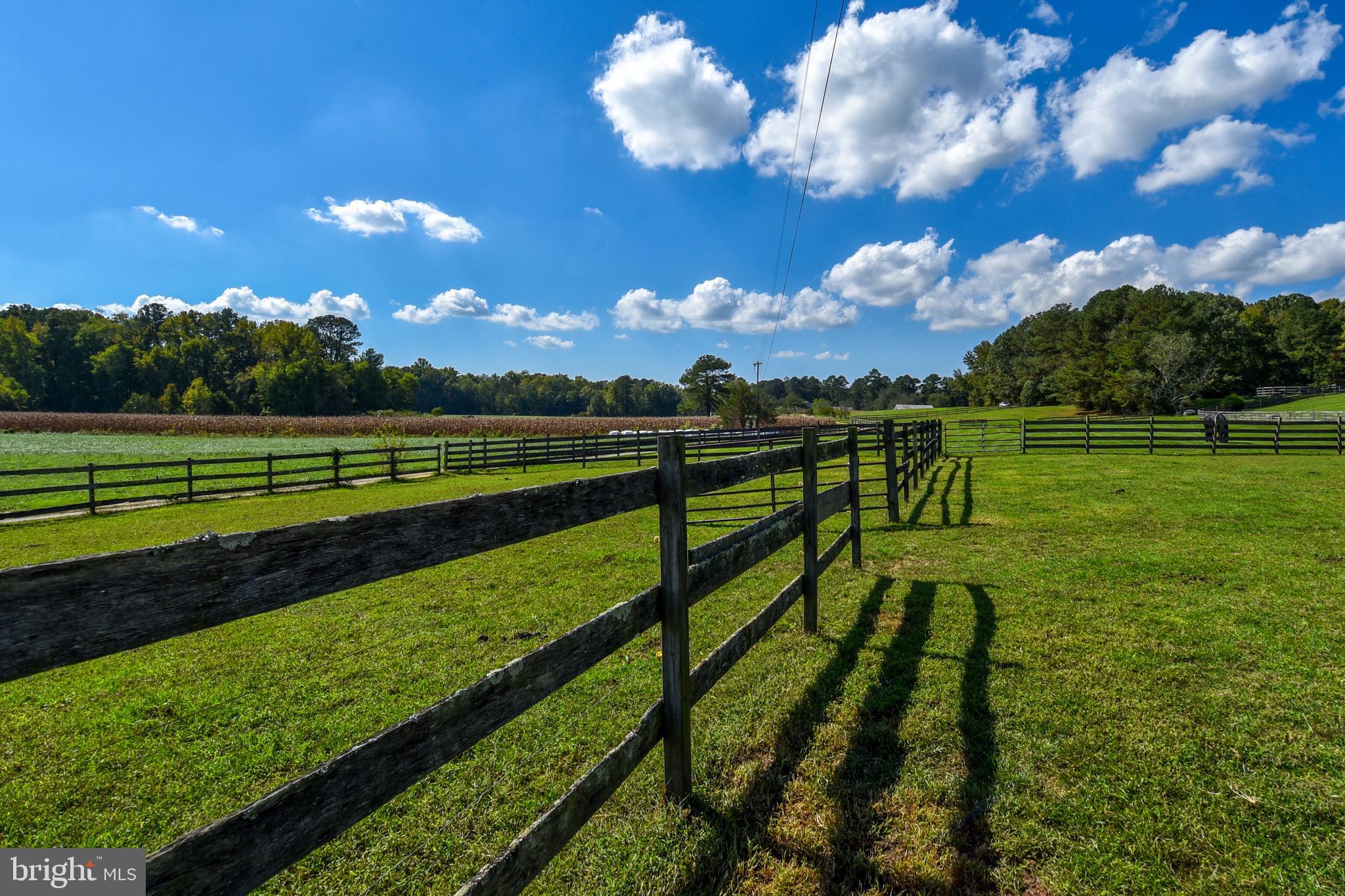 NONE AVAILABLE - Farm