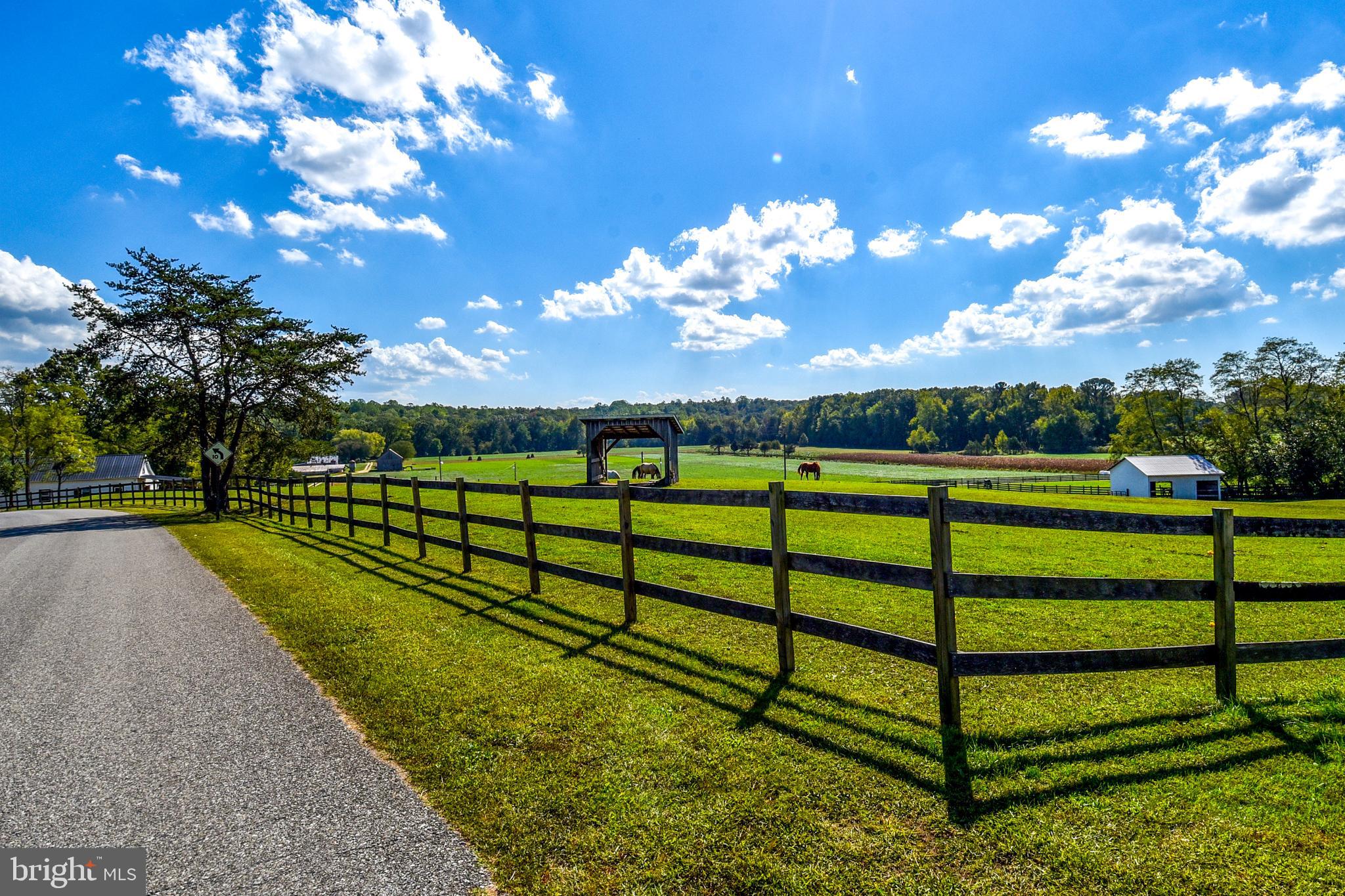 NONE AVAILABLE - Farm