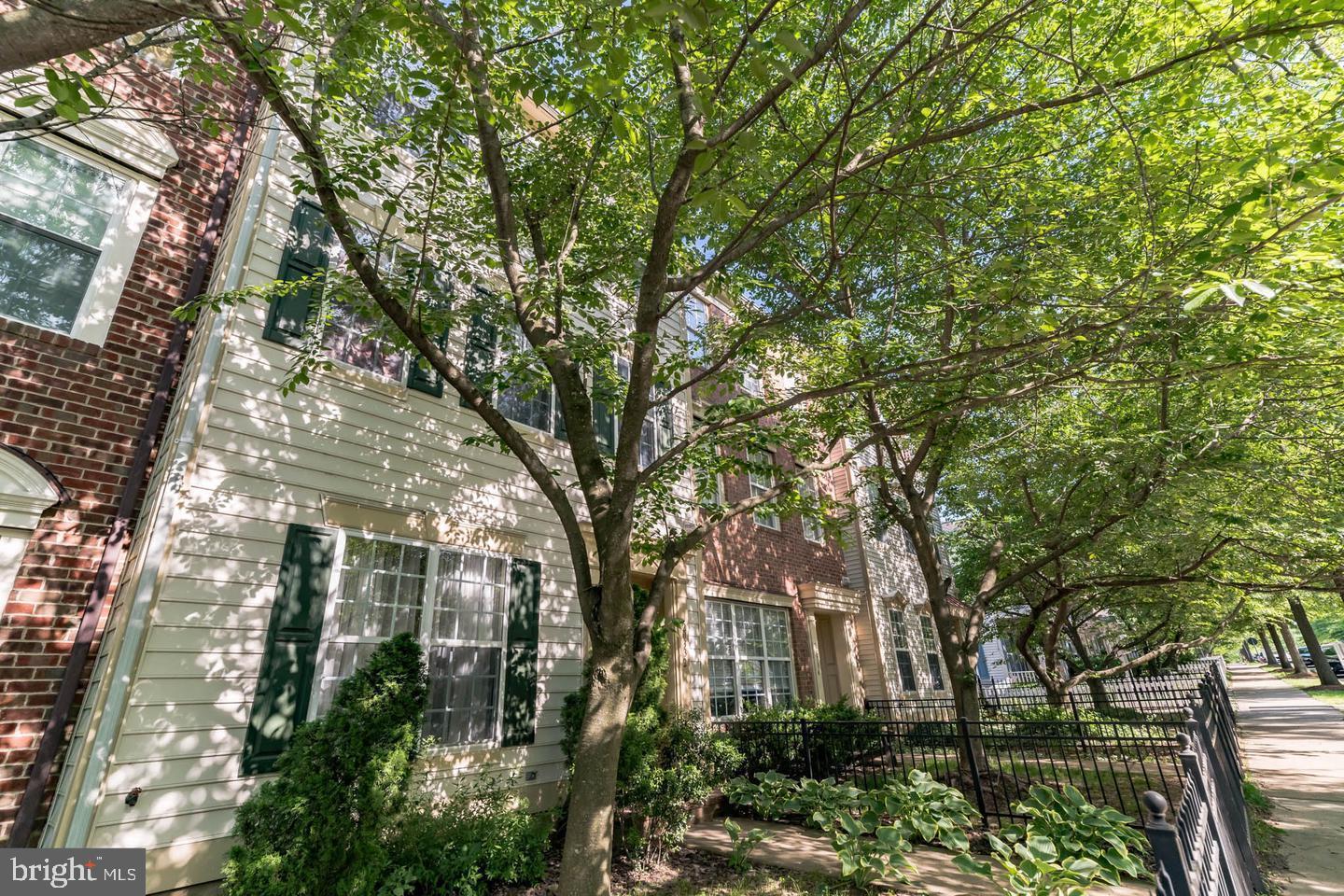 BELMONT GREENE - Residential Lease