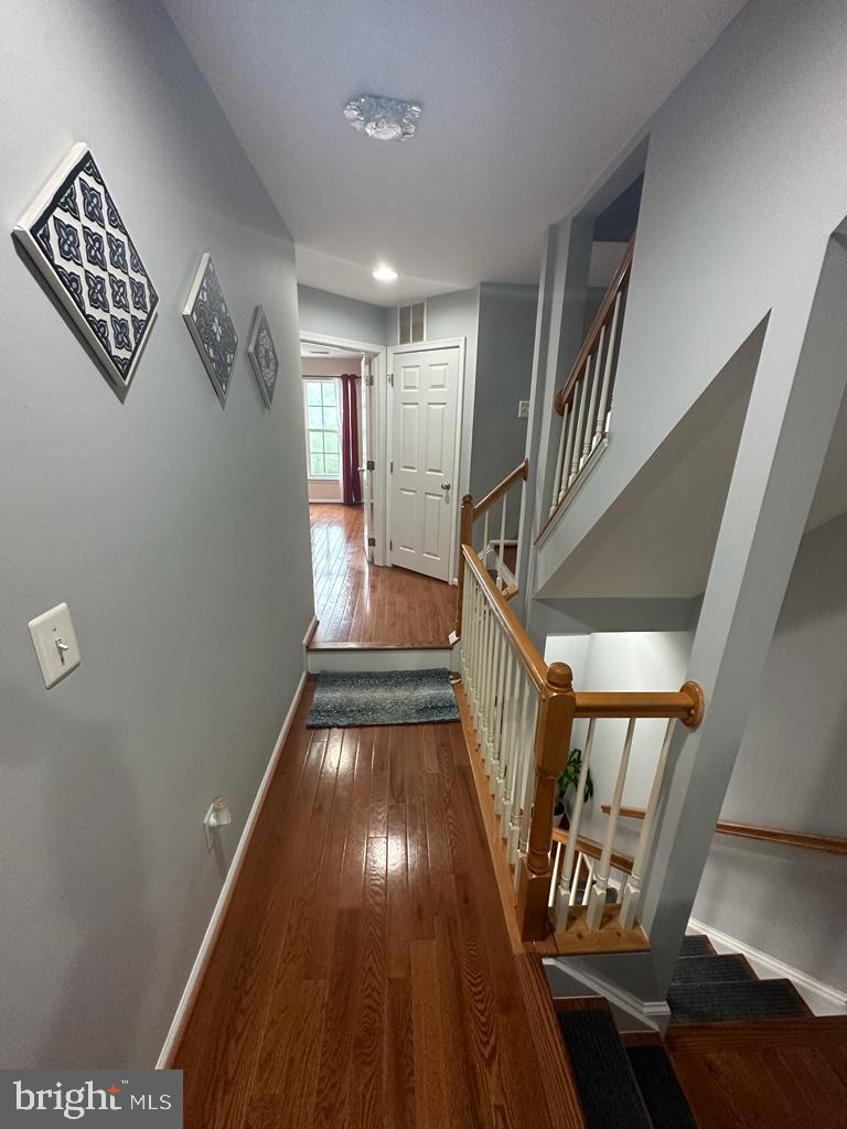 BELMONT GREENE - Residential Lease