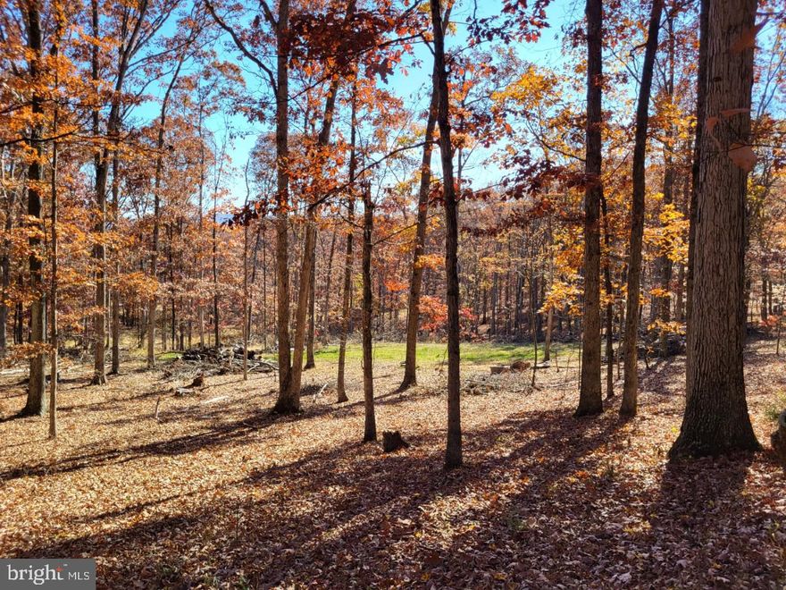 Ever dreamt of building your home in the beautiful mountains of West Virginia? Now you can make that dream come true. This property is conveniently located within minutes of the South Branch of the Potomac River and the public river access point. While you're nestled in the beautiful, wooded mountains, you're still conveniently located approximately 18 miles to Cumberland, MD and approximately 45 miles to Winchester, Va.  Part of this lot has already been cleared to build on and has also passed a perc test. With a very short walk from your home, you can enjoy a nice picnic at the serene catch and release pond nearby.