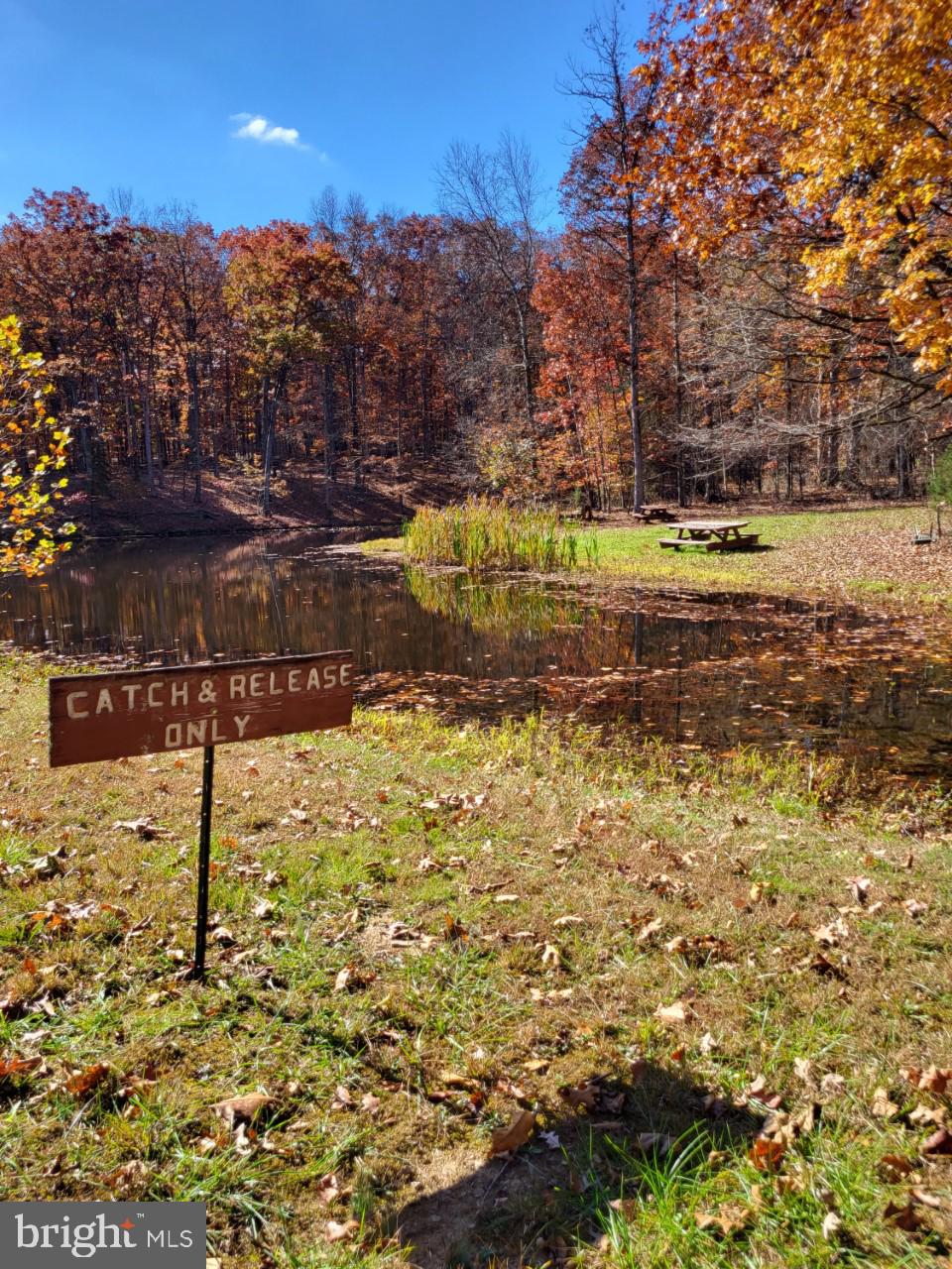 SOUTH POTOMAC FOREST - Land