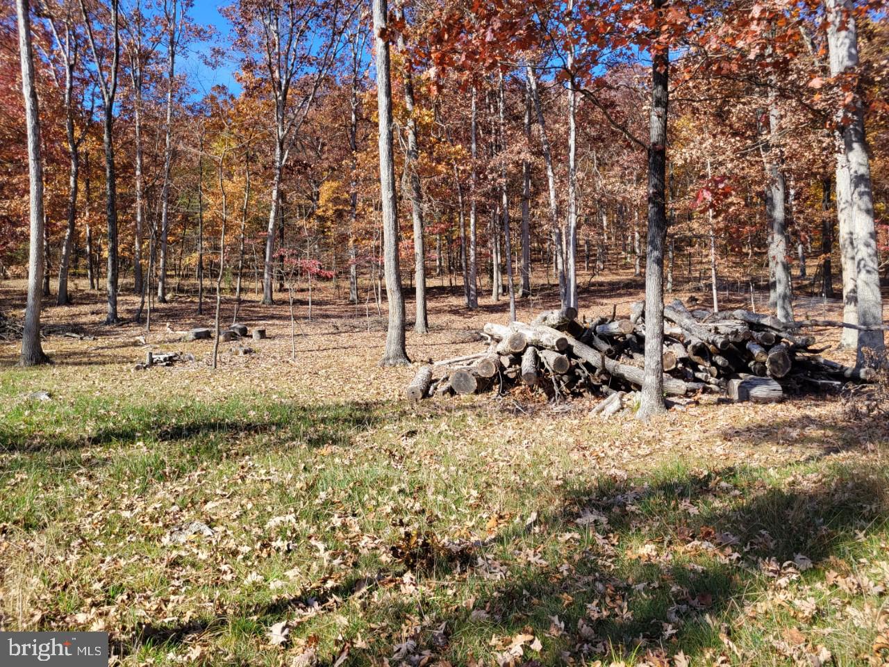 SOUTH POTOMAC FOREST - Land