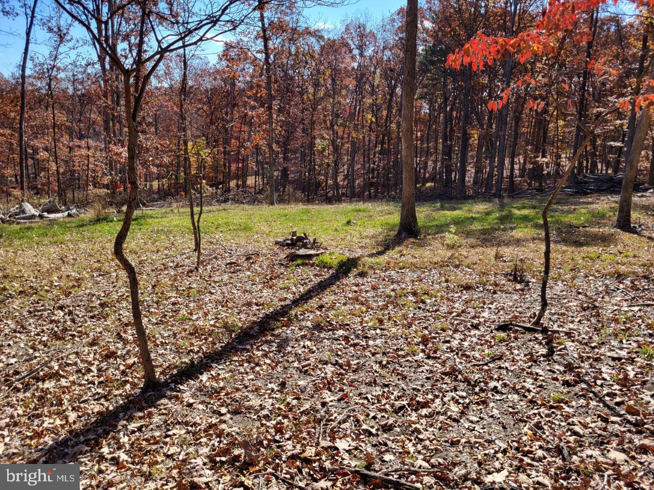 SOUTH POTOMAC FOREST - Land