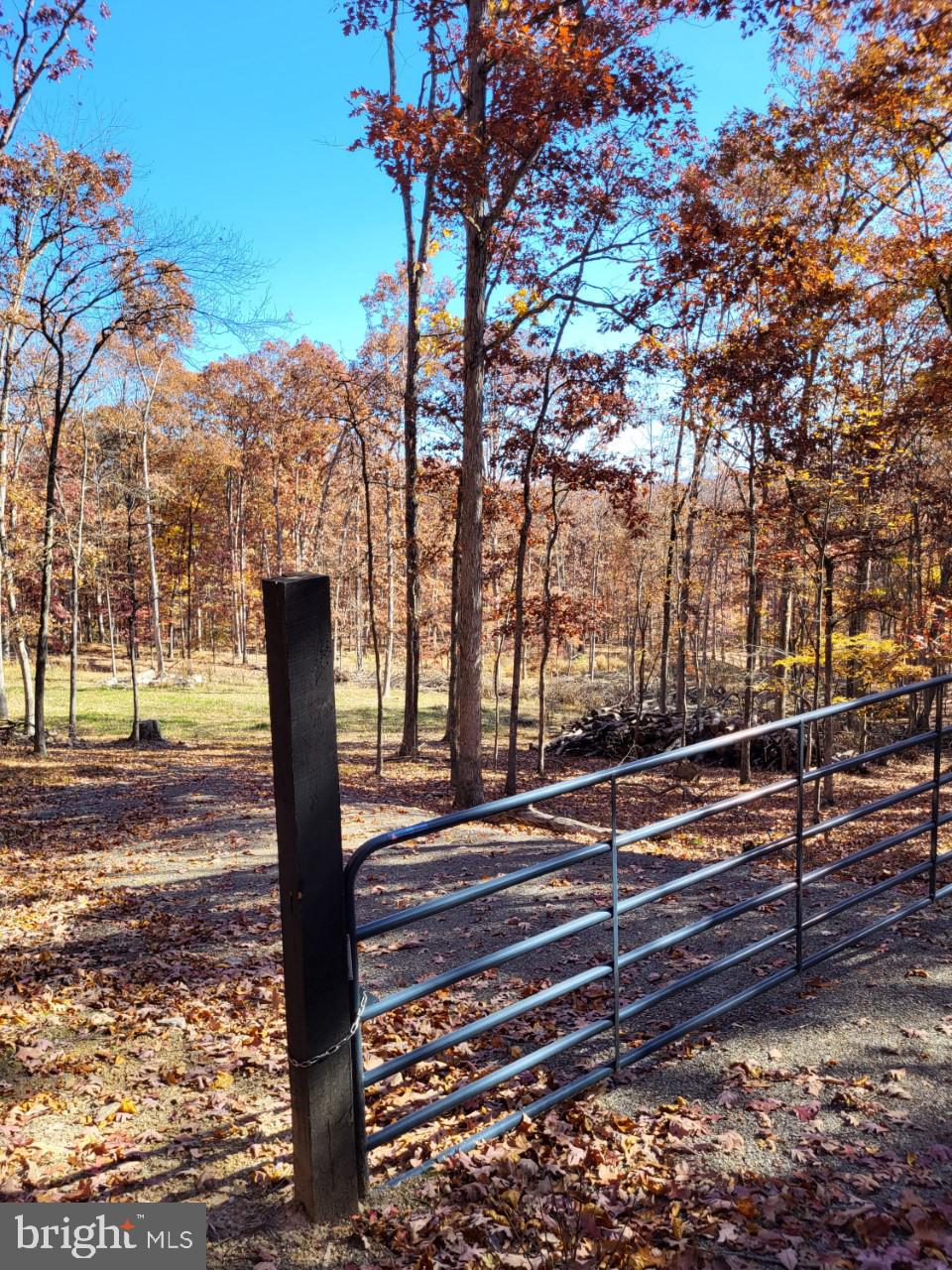 SOUTH POTOMAC FOREST - Land