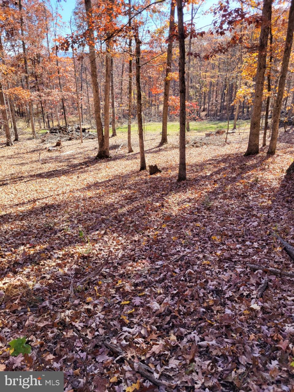 SOUTH POTOMAC FOREST - Land