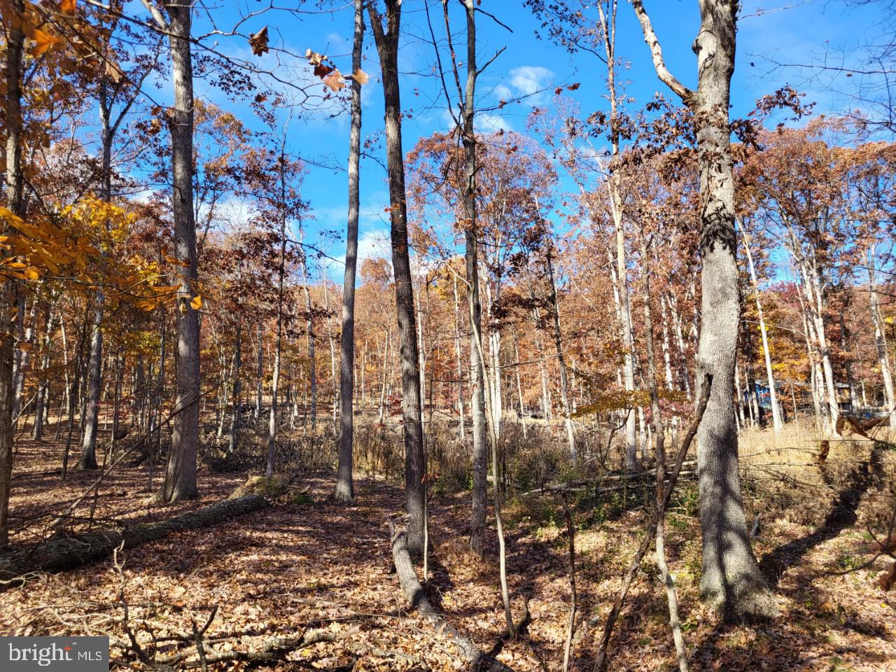 SOUTH POTOMAC FOREST - Land