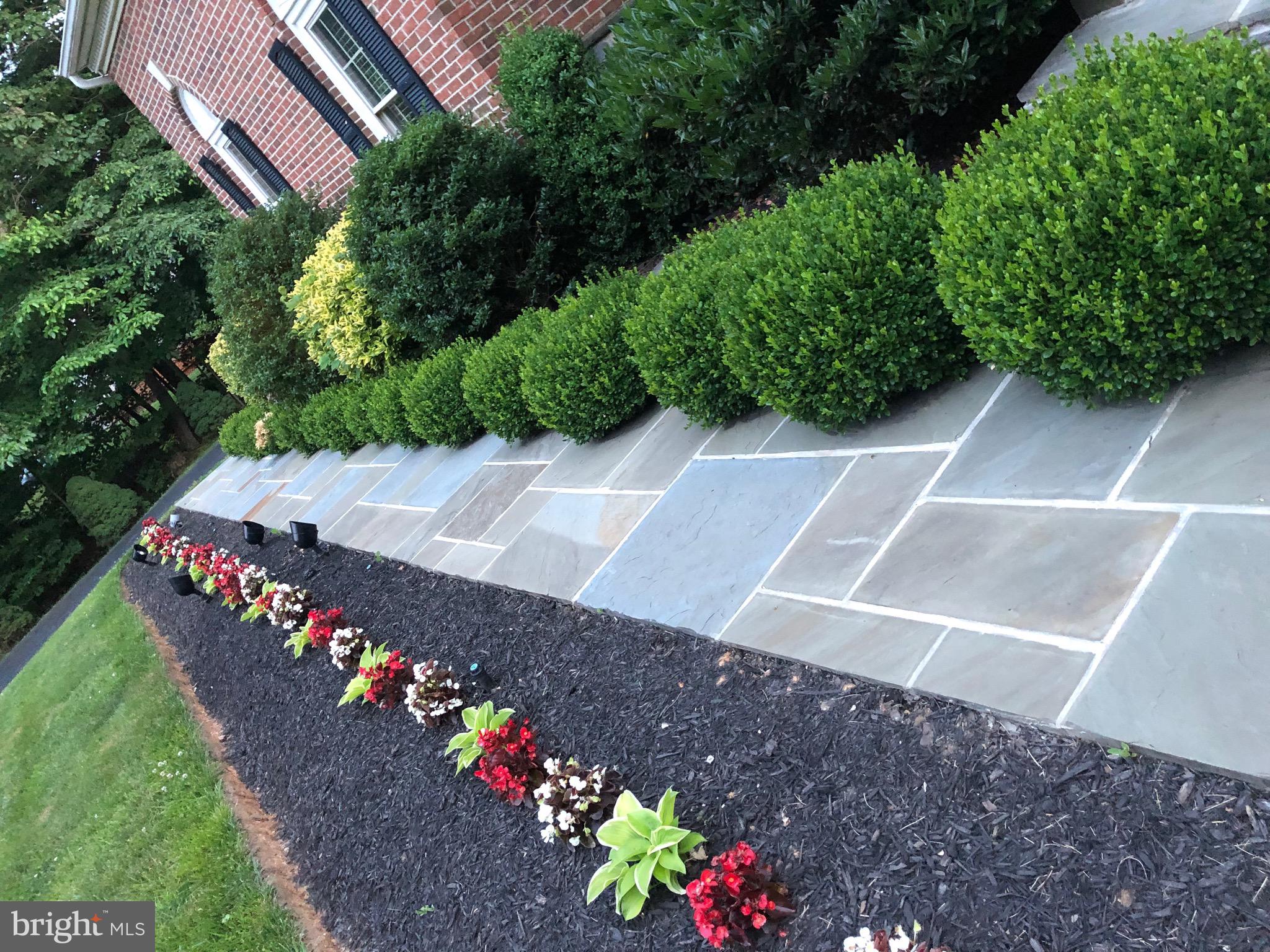 BARRINGTON OAKS - Residential