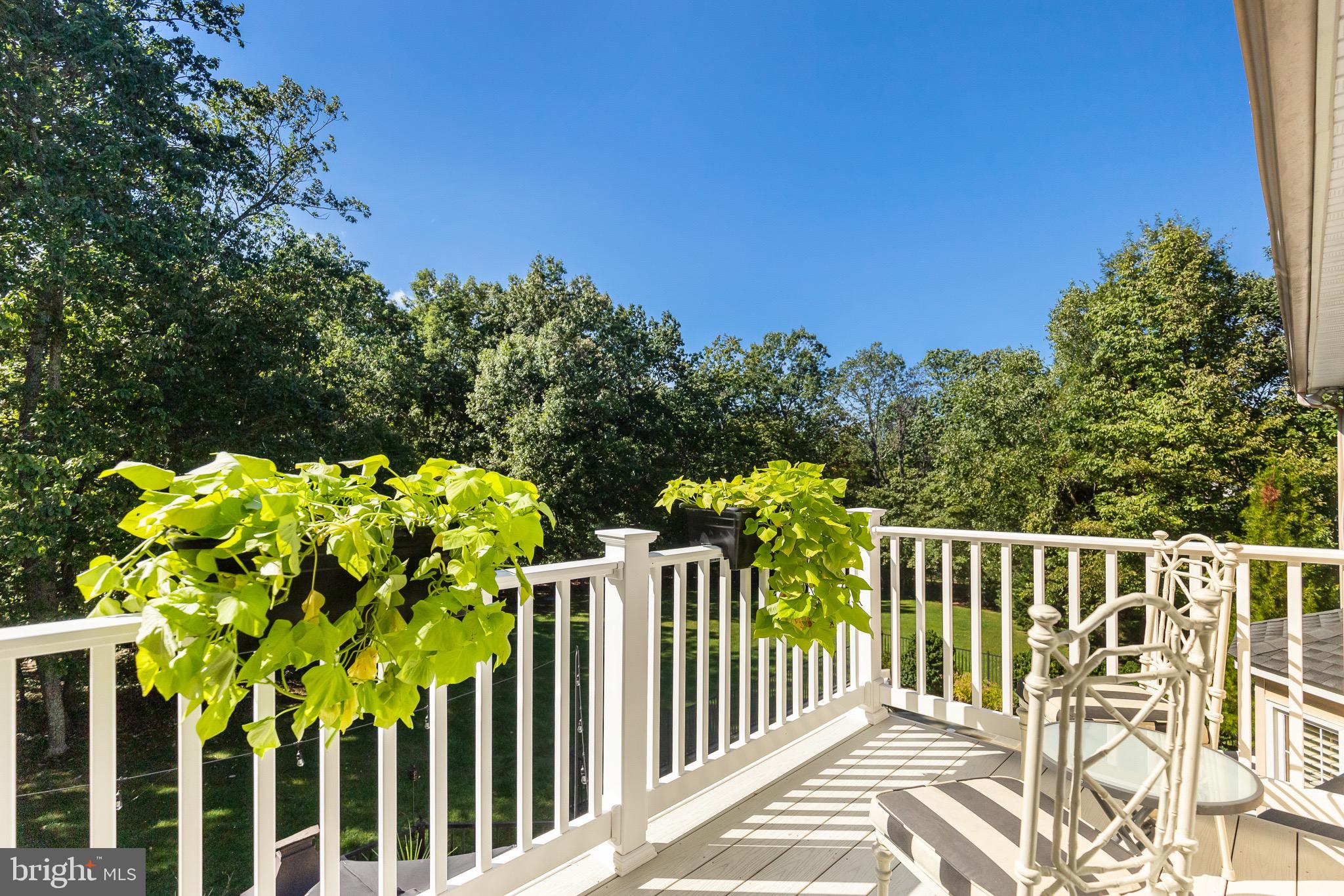 BARRINGTON OAKS - Residential