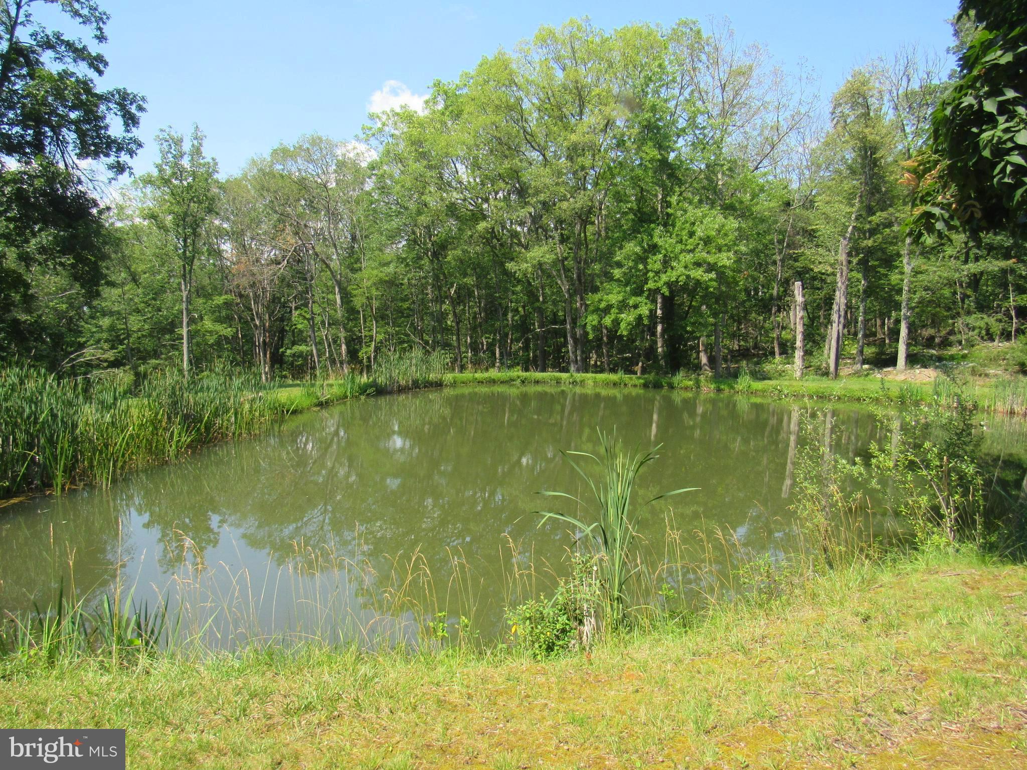 BLACK BEAR RECREATION AREA - Residential