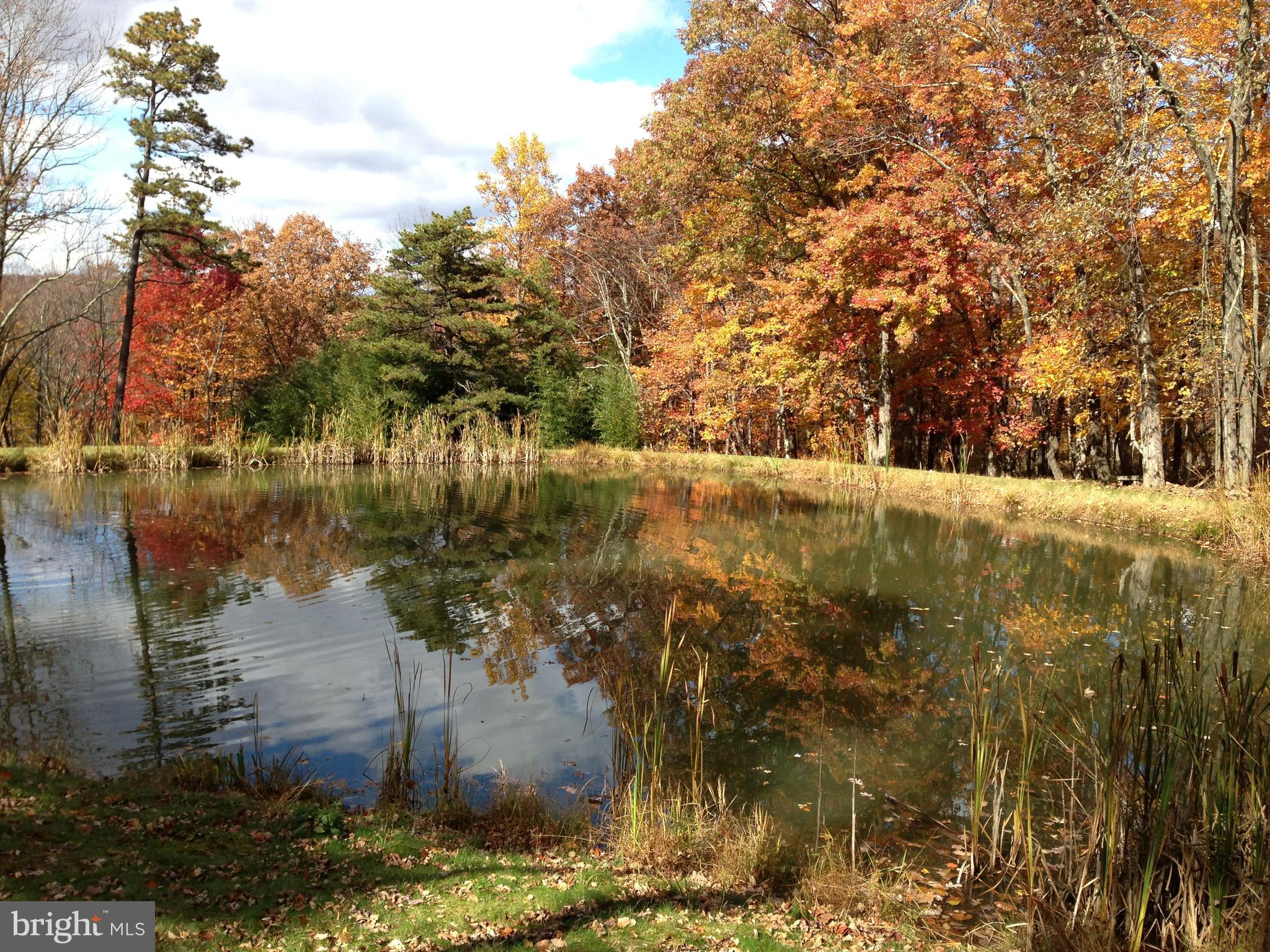 BLACK BEAR RECREATION AREA - Residential