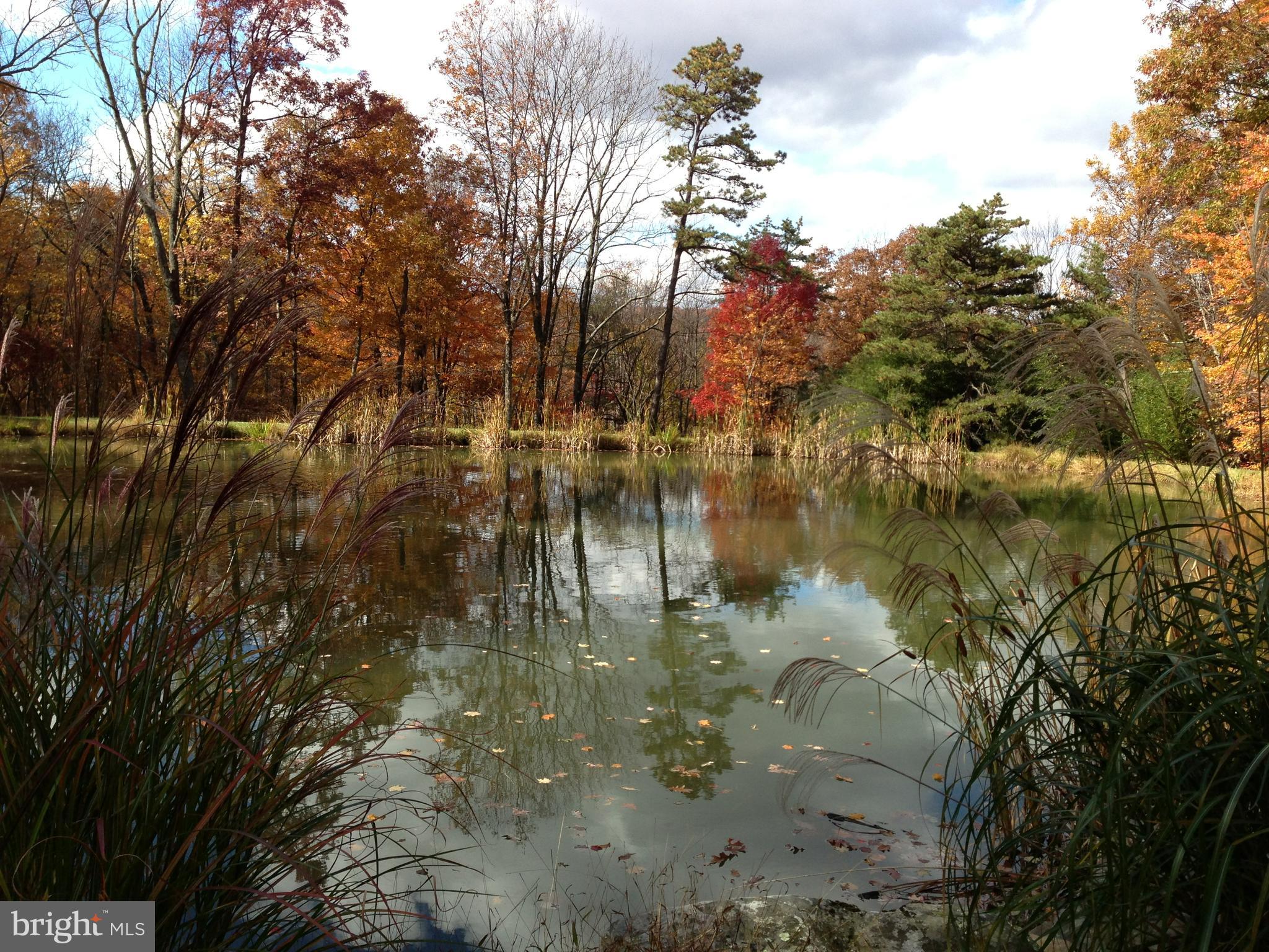 BLACK BEAR RECREATION AREA - Residential