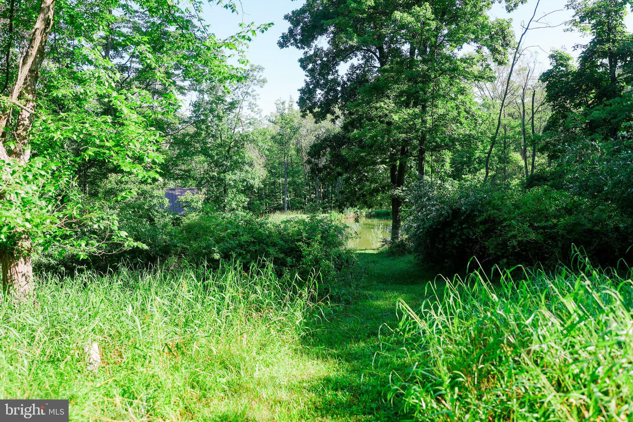 BLACK BEAR RECREATION AREA - Residential