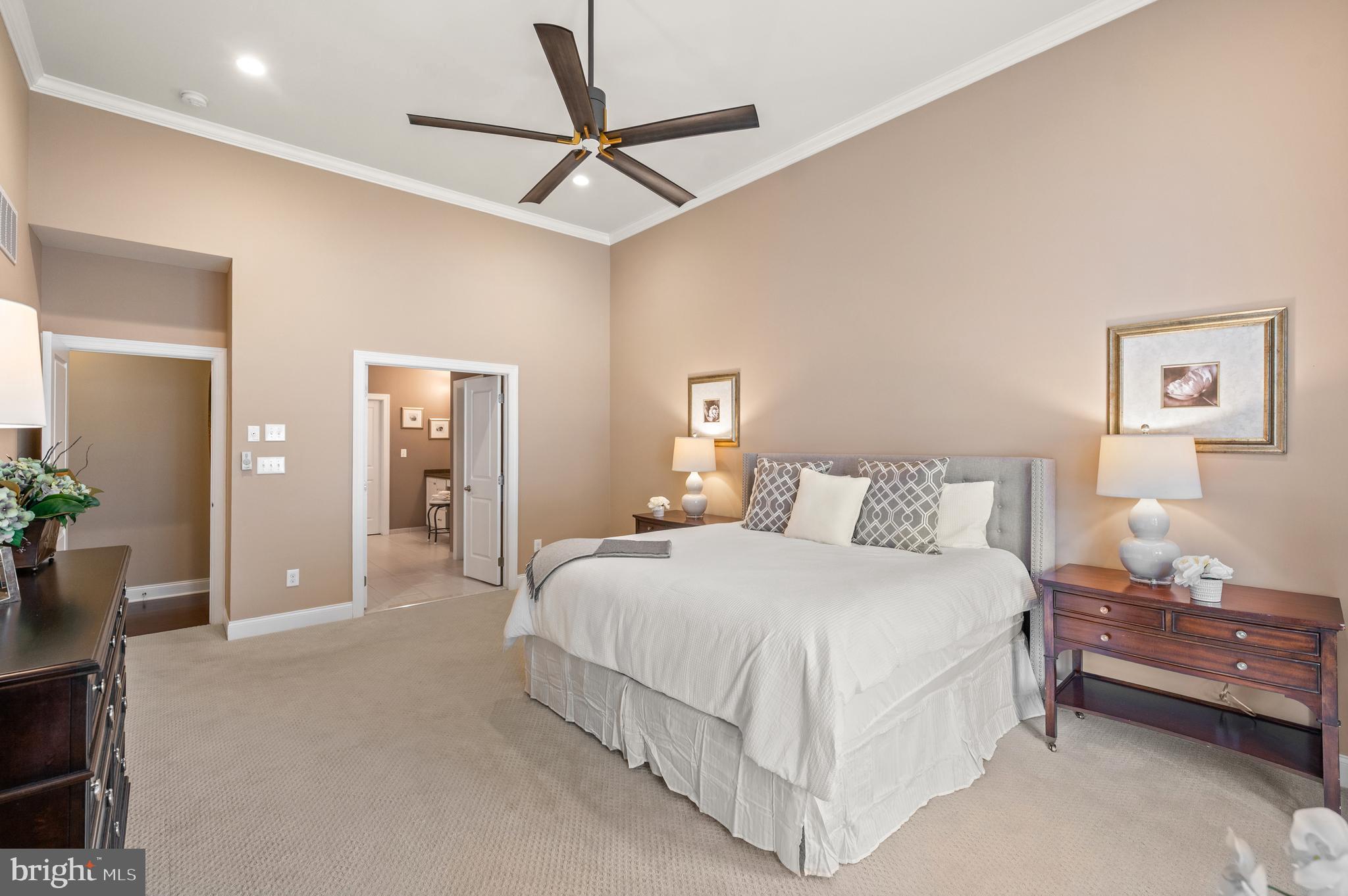 LISETER - Residential