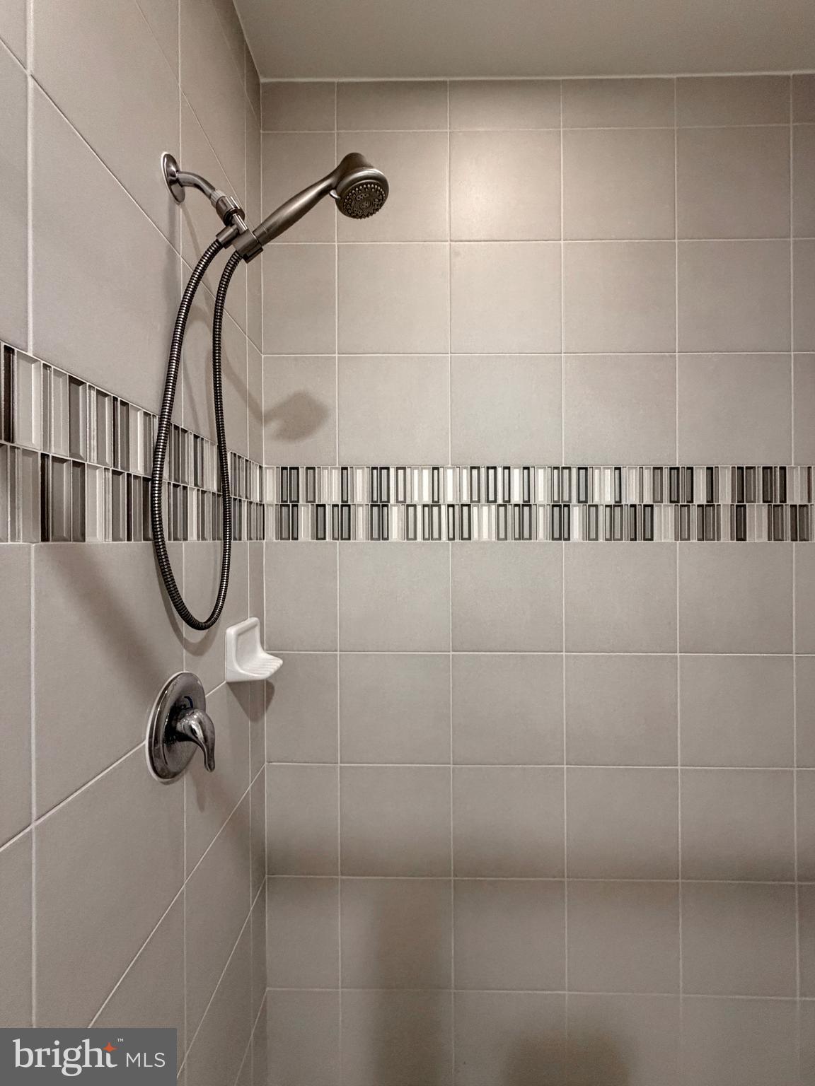 THE VILLAGES OF STEEPLECHASE - Residential