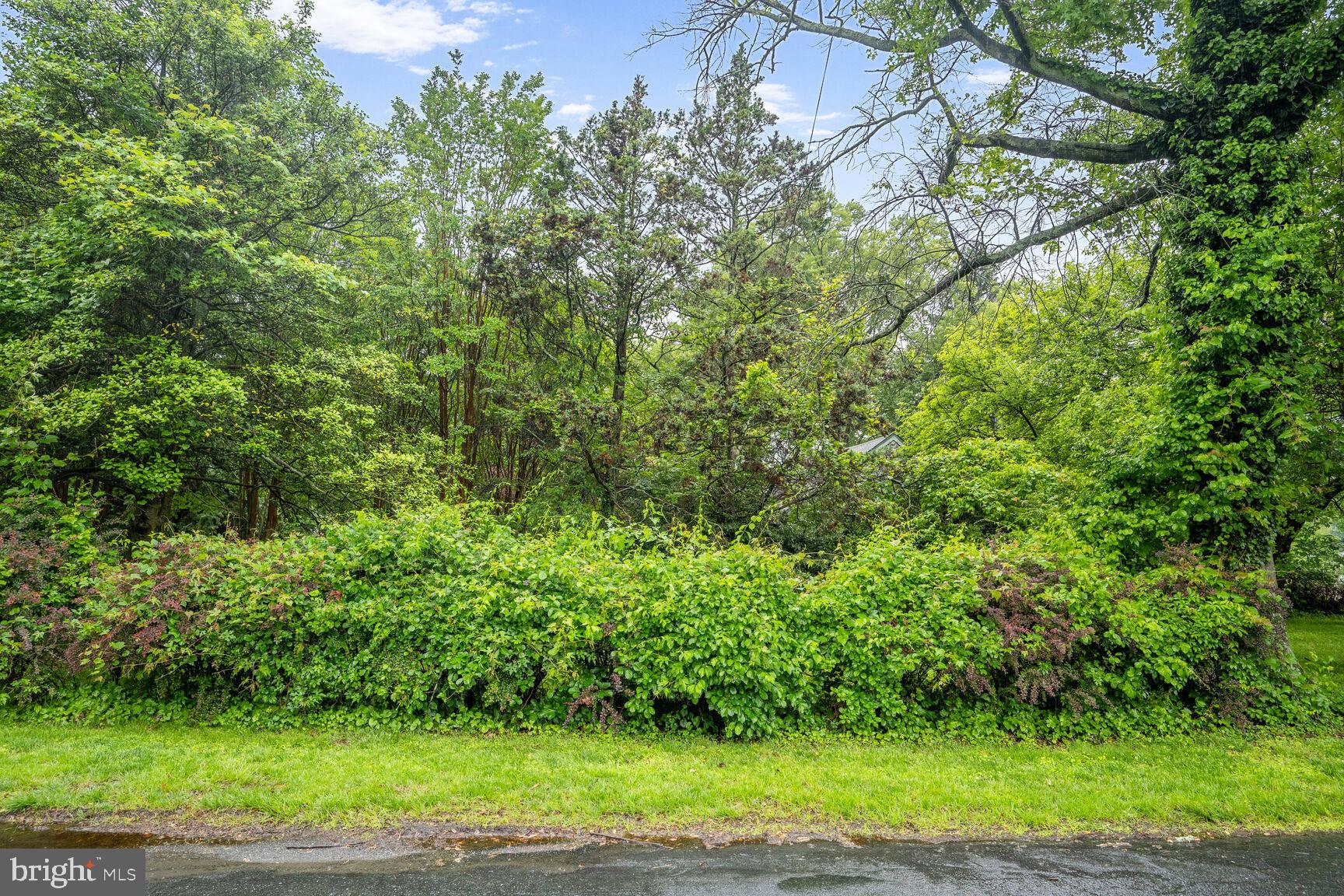 MEADOWOOD - Residential